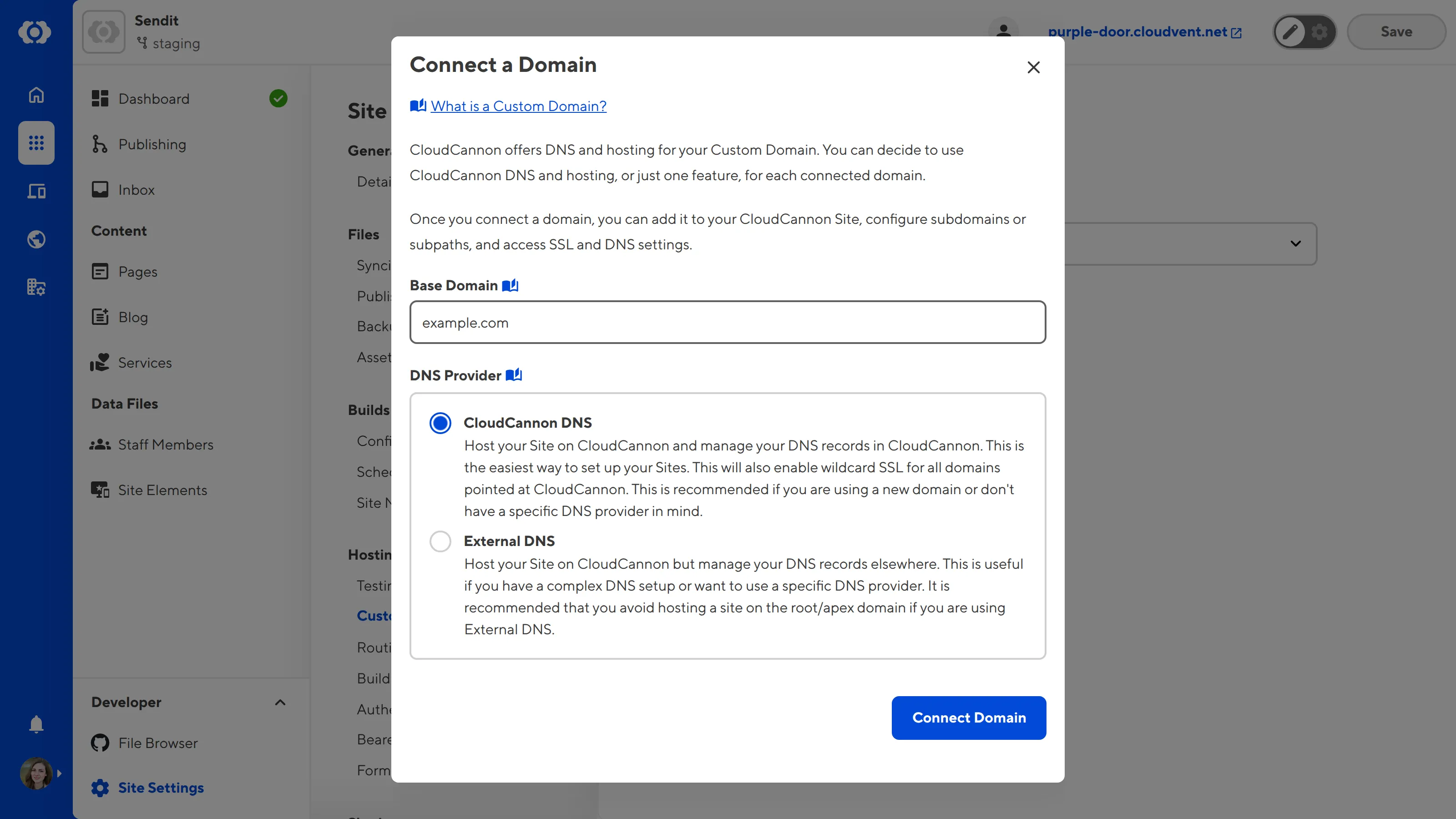 A screenshot of the Custom Domains page under Site Settings shows the Connect a Domain model with inputs for Base Domain and DNS Provider.