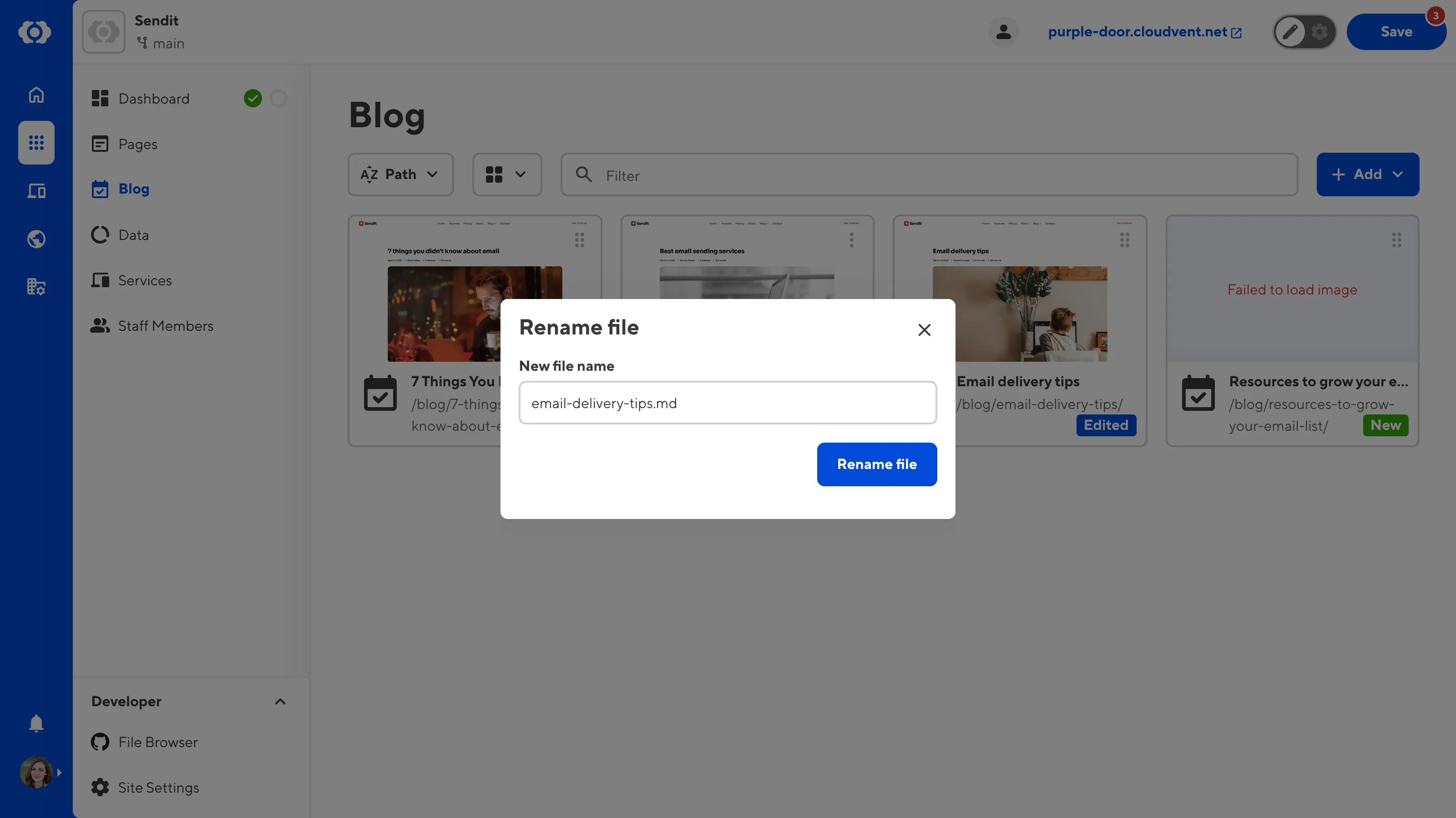 A screenshot of the Collection Browser shows the Rename file pop up.