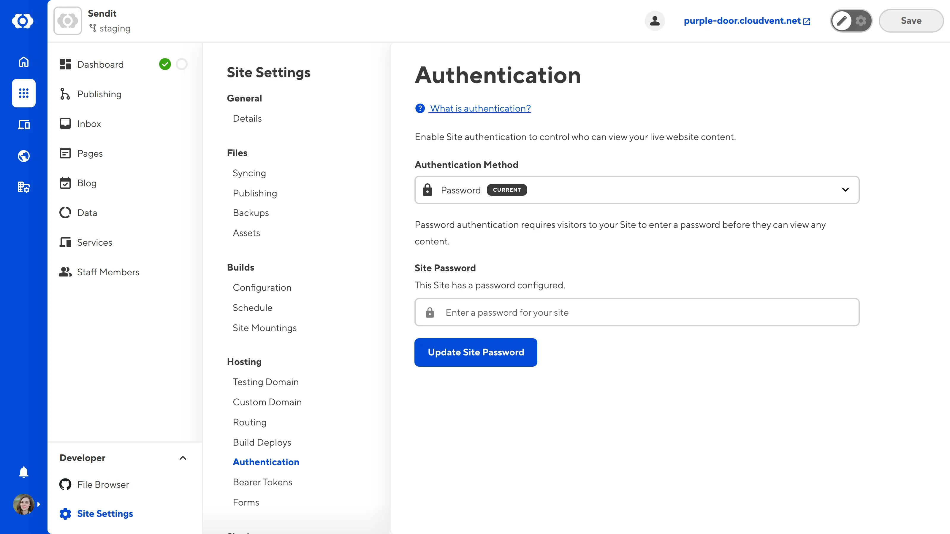 A screenshot of the Authentication page shows a this Site has a password set.