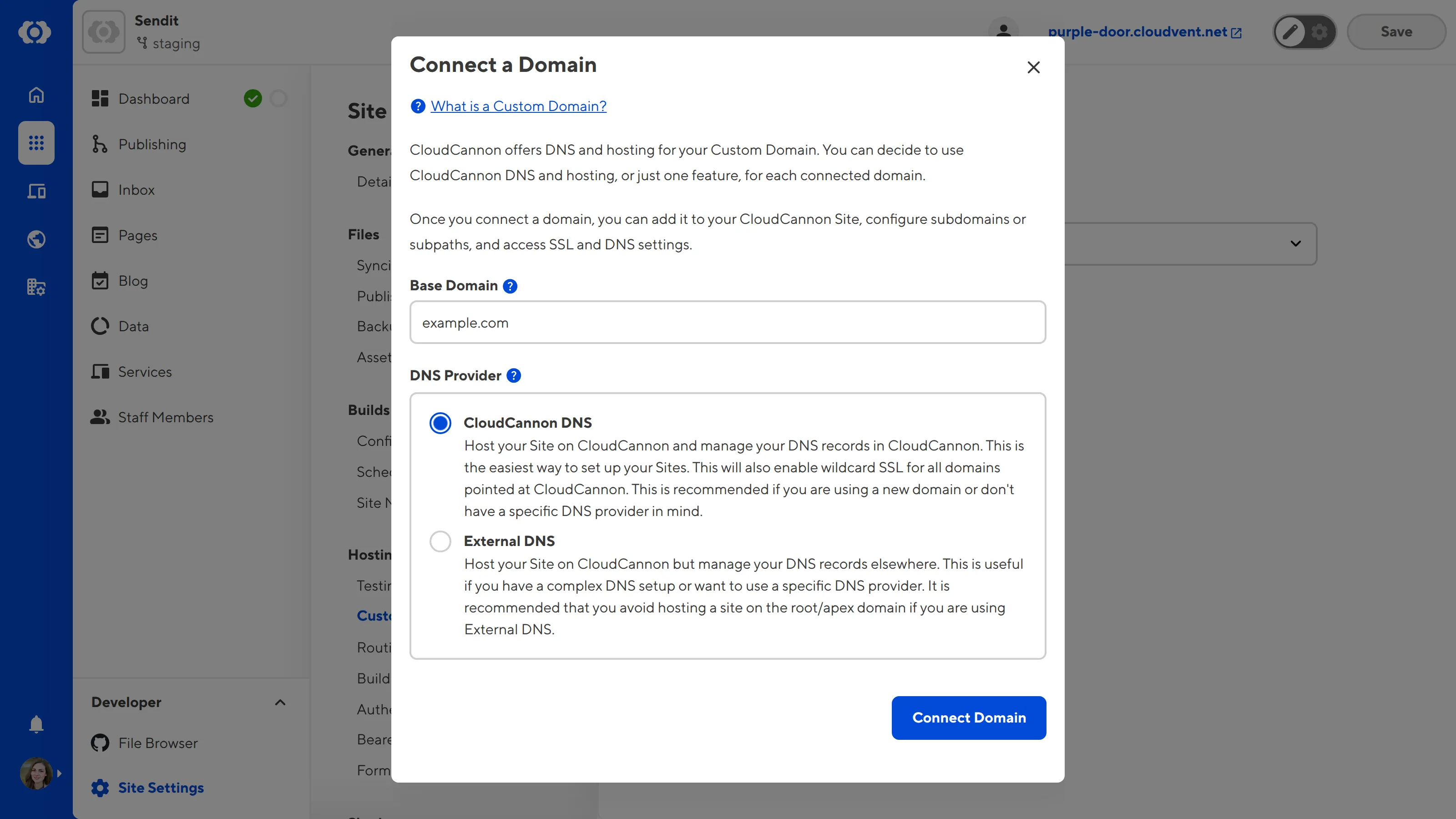 A screenshot of the Custom Domains page under Site Settings shows the Connect a Domain model with inputs for Base Domain and DNS Provider.
