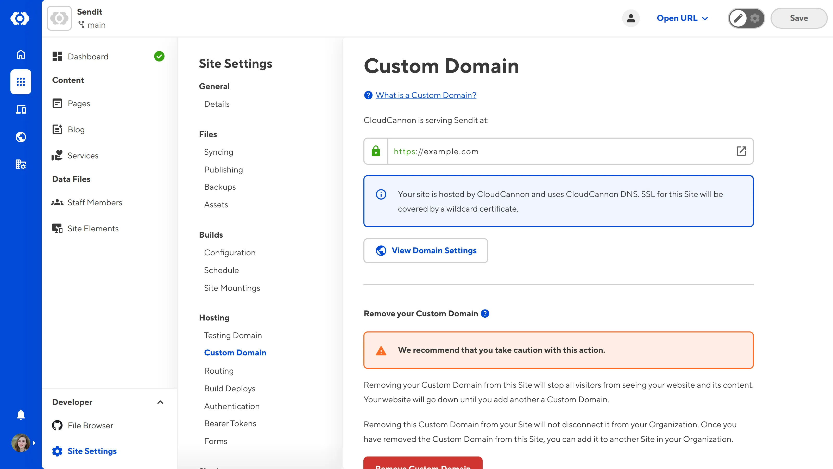A screenshot of the Custom Domain page under Site Settings shows the Remove Custom Domain button.