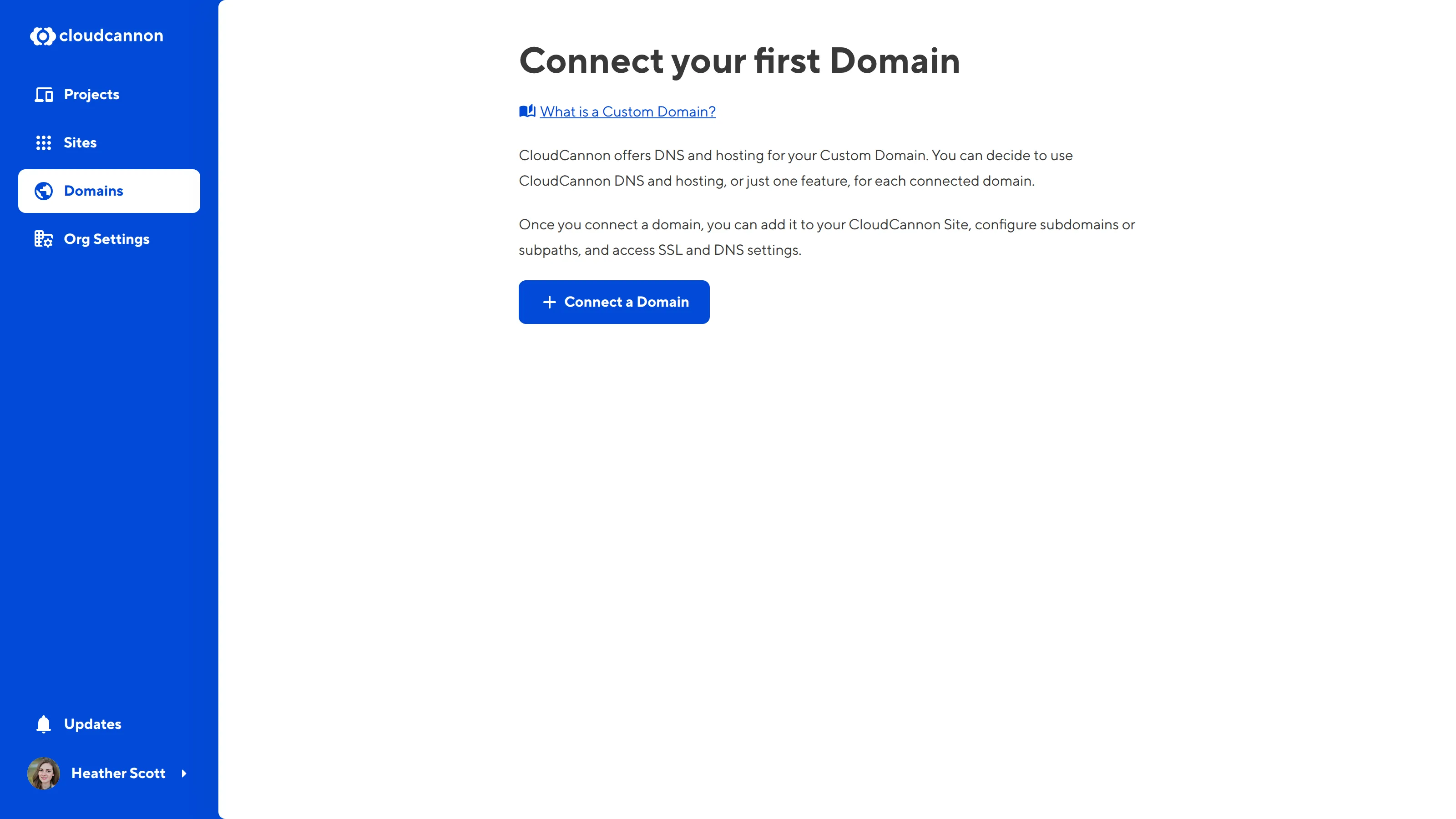 The Connect your first Domain page A screenshot of the Connect your first Domain page.