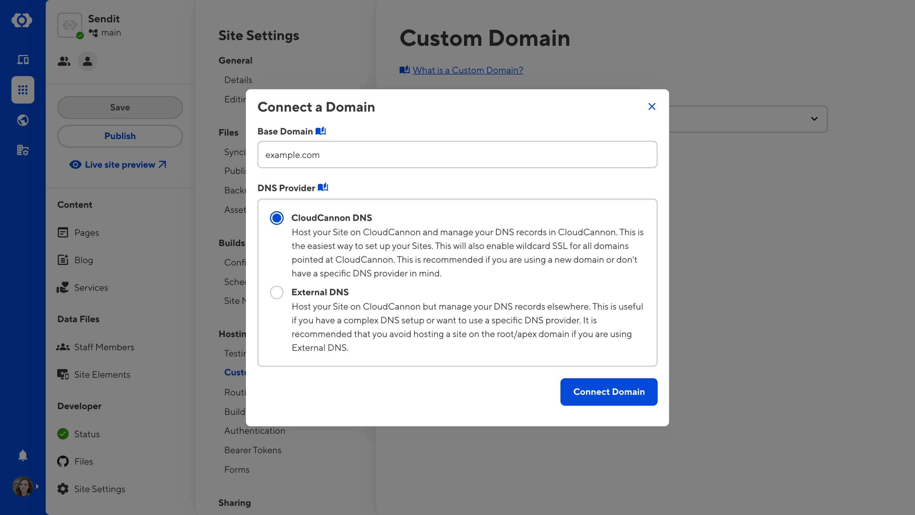 The Custom Domains page A screenshot of the Custom Domains page under Site Settings shows the Connect a Domain model with inputs for Base Domain and DNS Provider.
