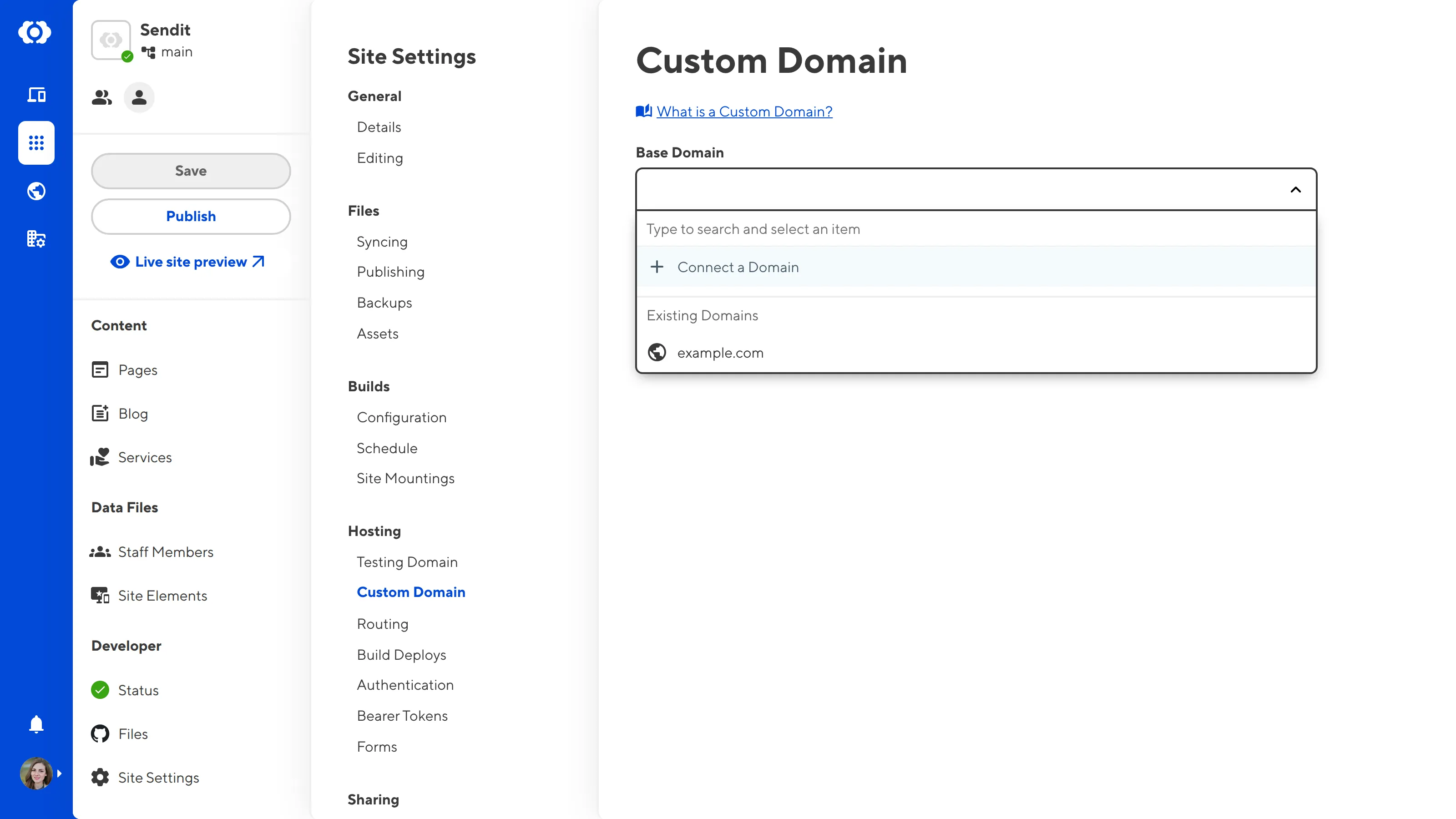 The Custom Domains page A screenshot of the Custom Domains page under Site Settings shows the Base Domain dropdown open with the option to Connect a Domain.