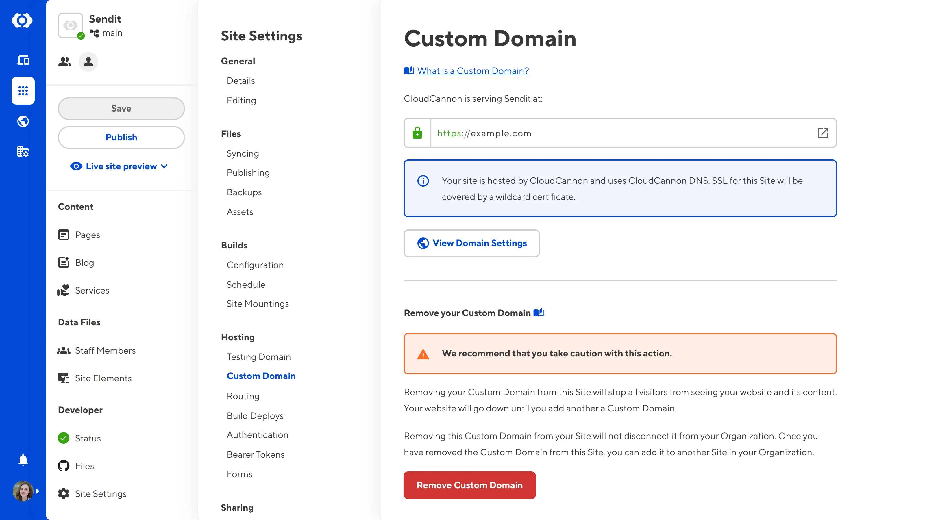 A screenshot of the Custom Domain page under Site Settings shows the Remove Custom Domain button.