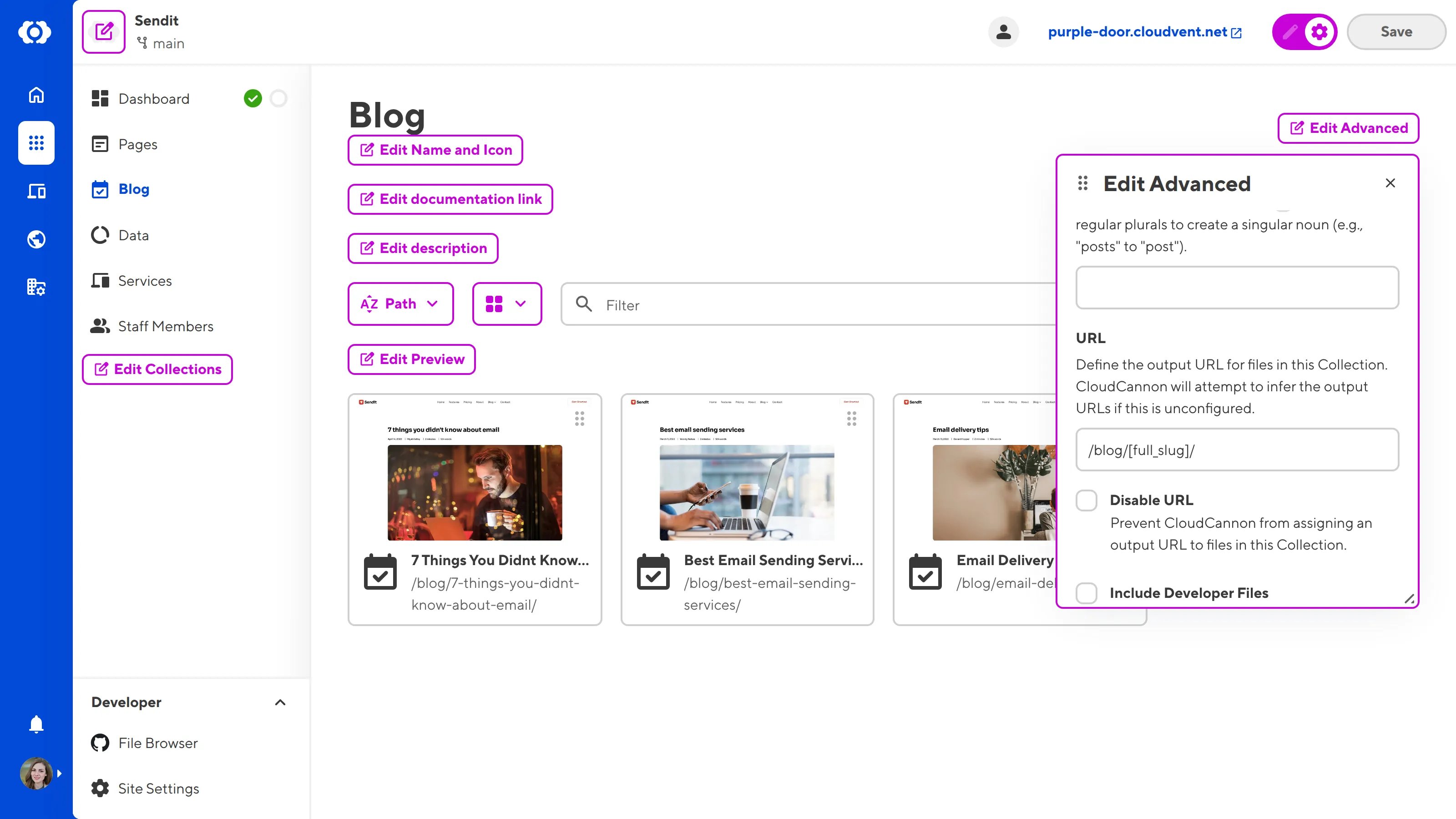 The Collection Browser with Edit Advanced panel A screenshot of the Collection Browser shows the Edit Advanced data panel open with a text field for URL configuration.