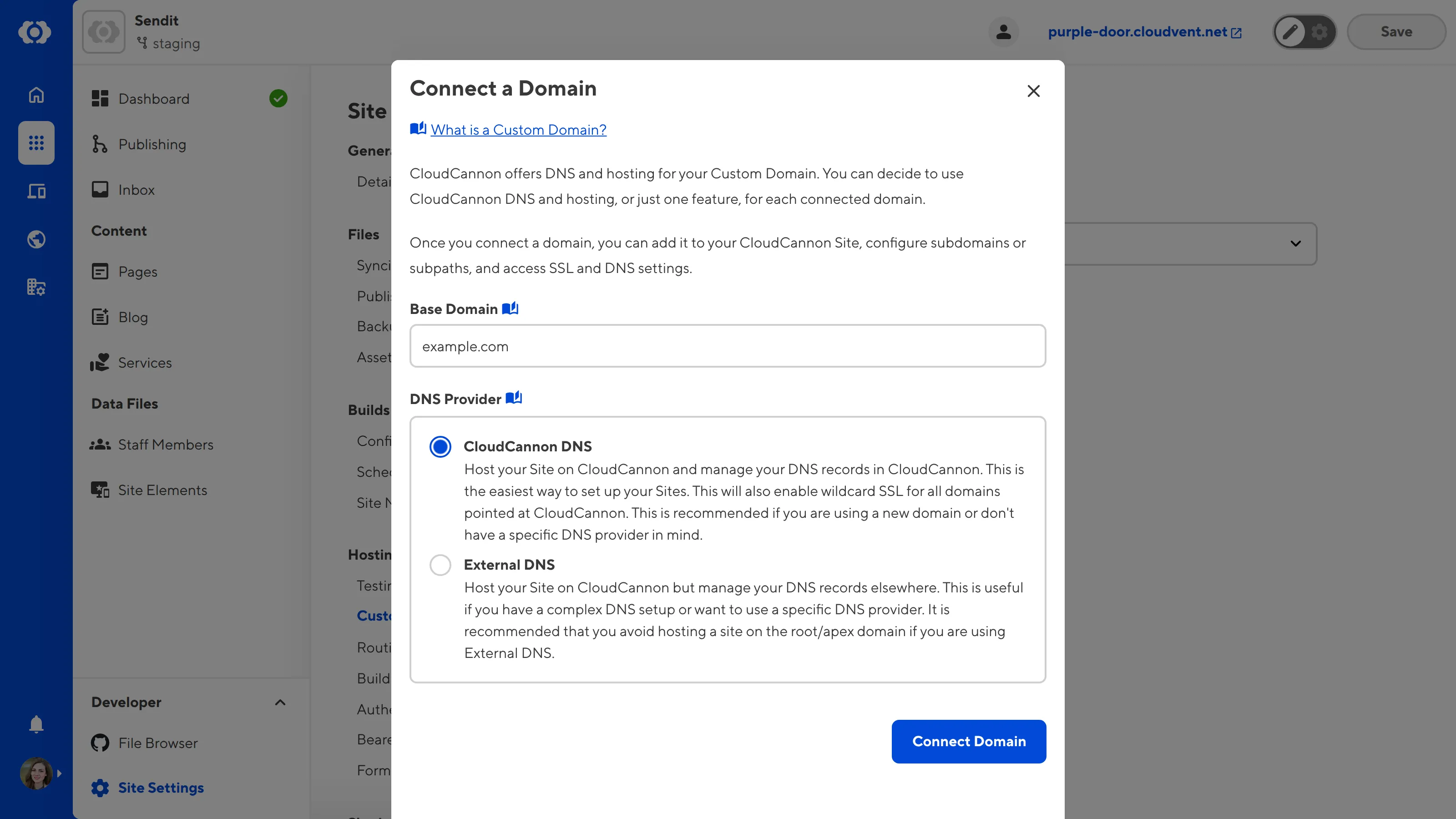 The Custom Domains page A screenshot of the Custom Domains page under Site Settings shows the Connect a Domain model with inputs for Base Domain and DNS Provider.