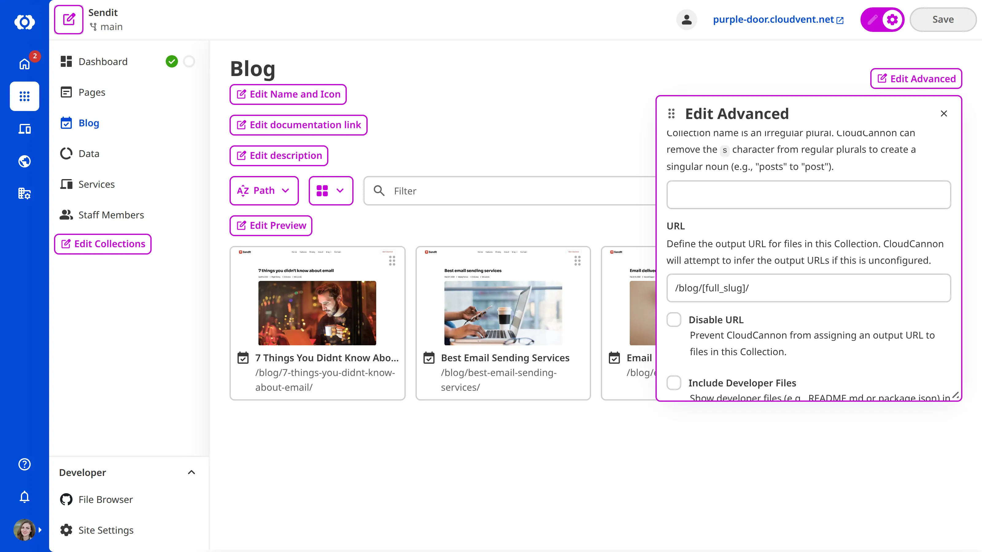 A screenshot of the Collection Browser shows the Edit Advanced data panel open with a text field for URL configuration.