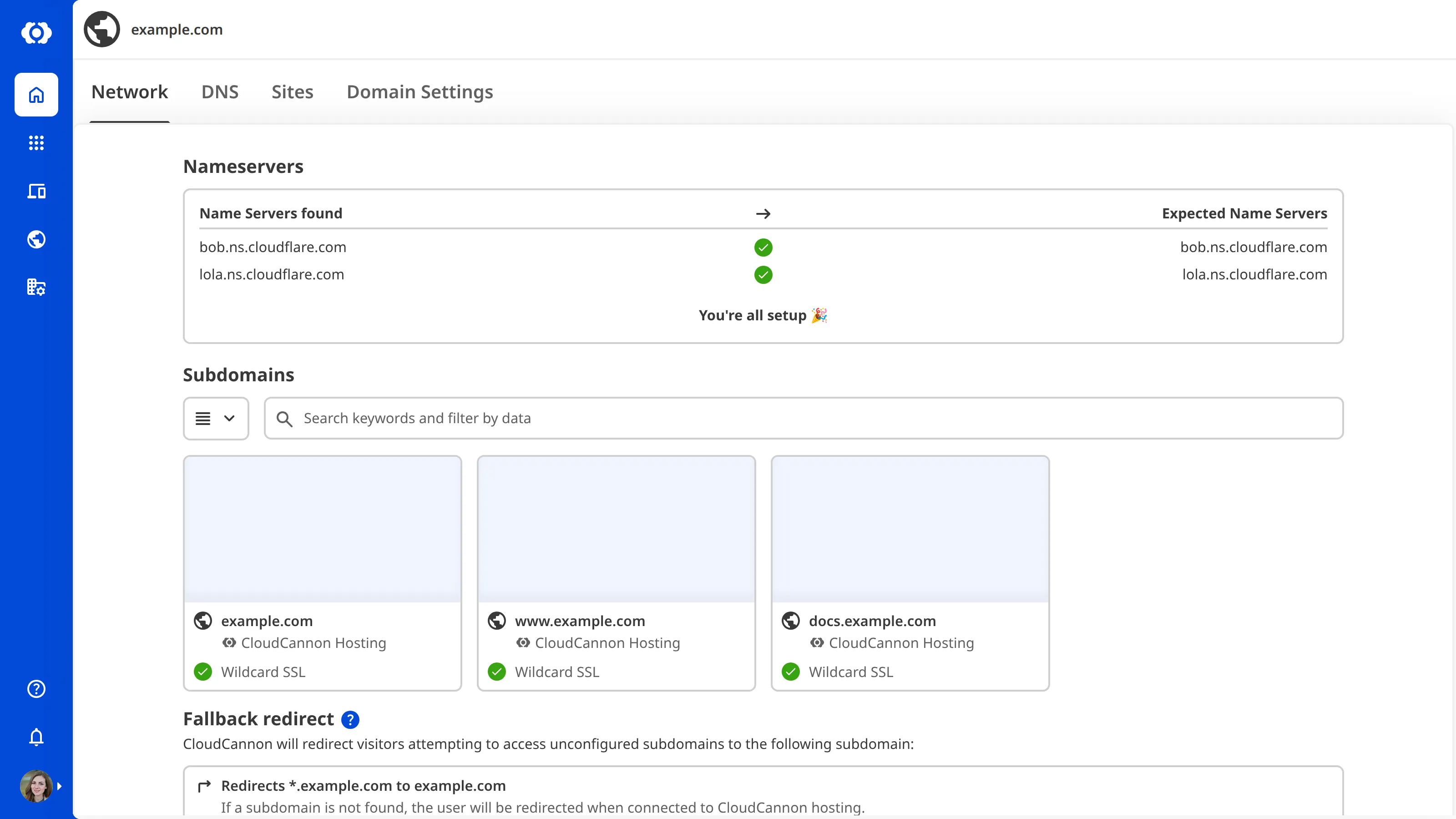 A screenshot of the Domain Network page shows that nameservers are correctly configured.