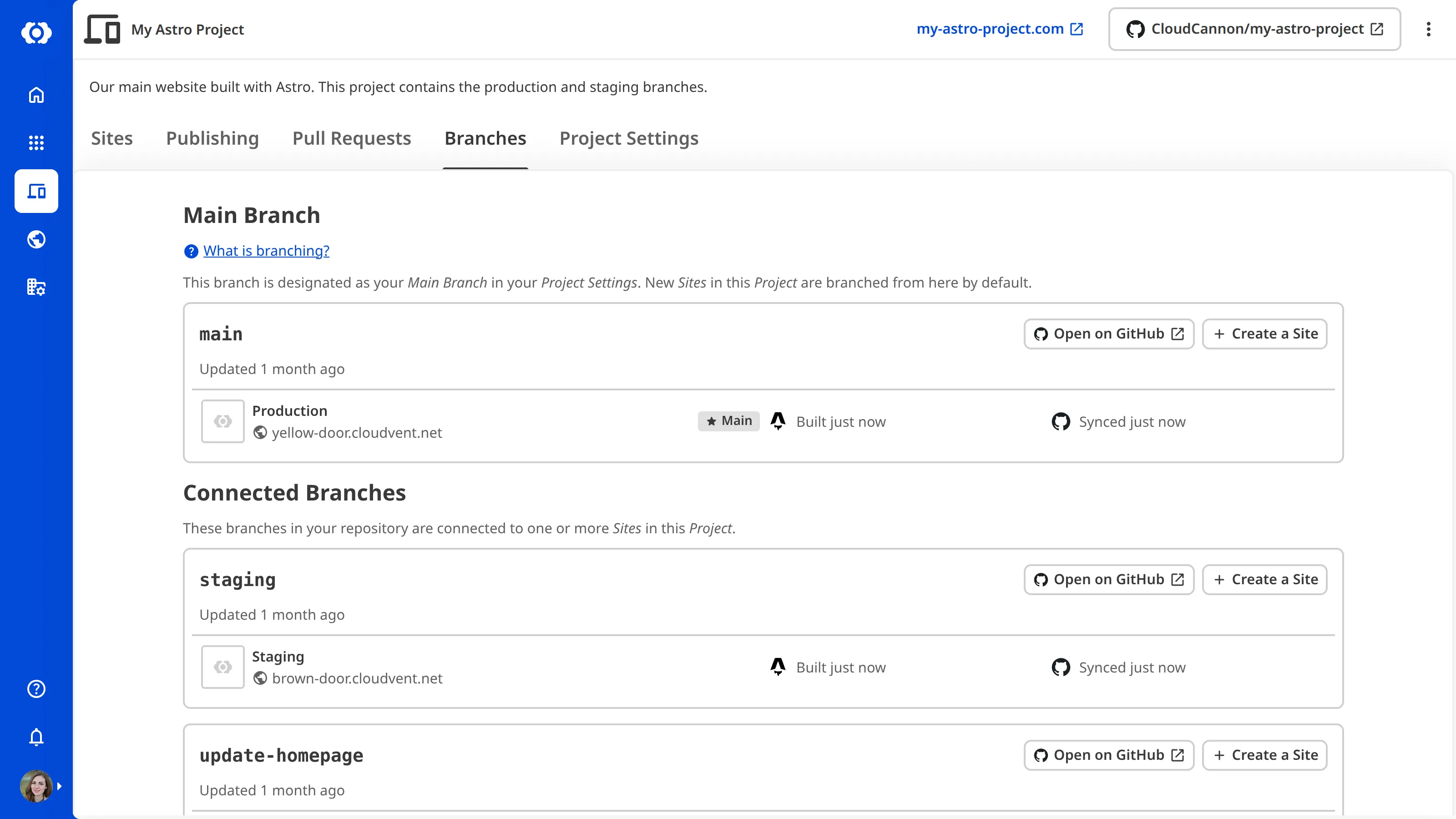 A screenshot of the Branches tab in a Project listing the branches in the connected Git Repository, grouped by Main Branch, Connected Branches, Orphaned Branches, and Other Branches.