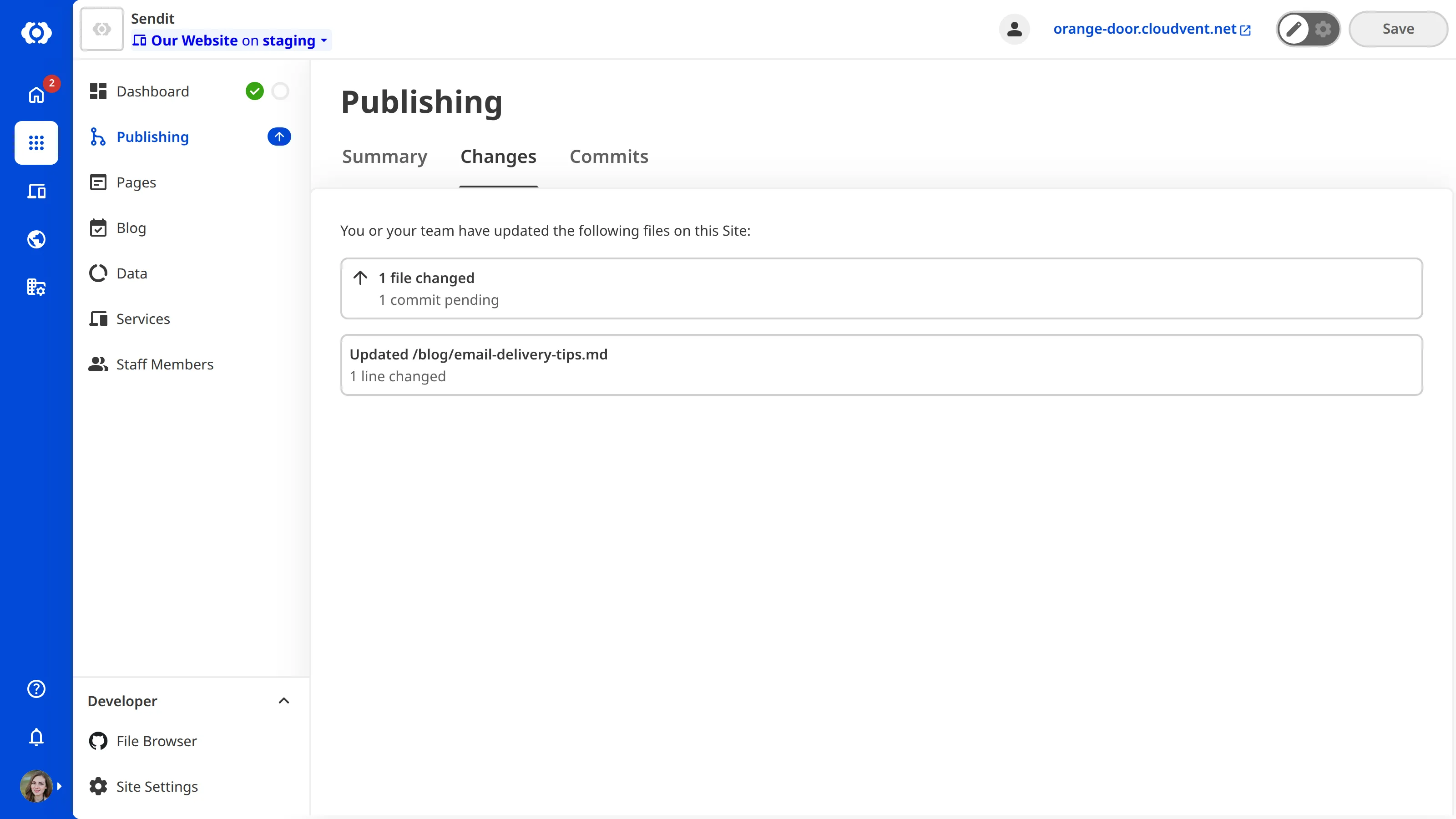 The Changes tab on the Publishing page A screenshot of the Publishing page Changes tab shows a list of files updated on the Site since the last publish.