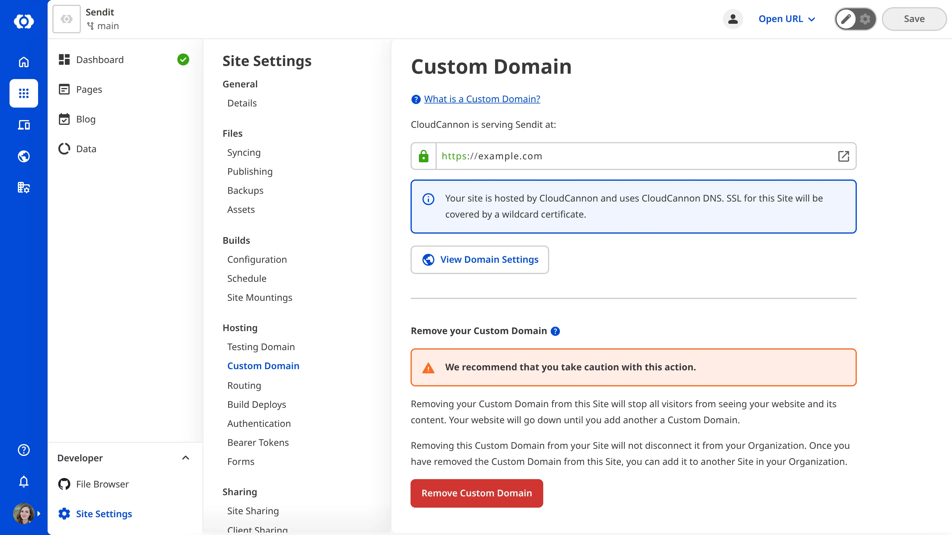 A screenshot of the Custom Domain page under Site Settings shows that nameservers are correctly configured.