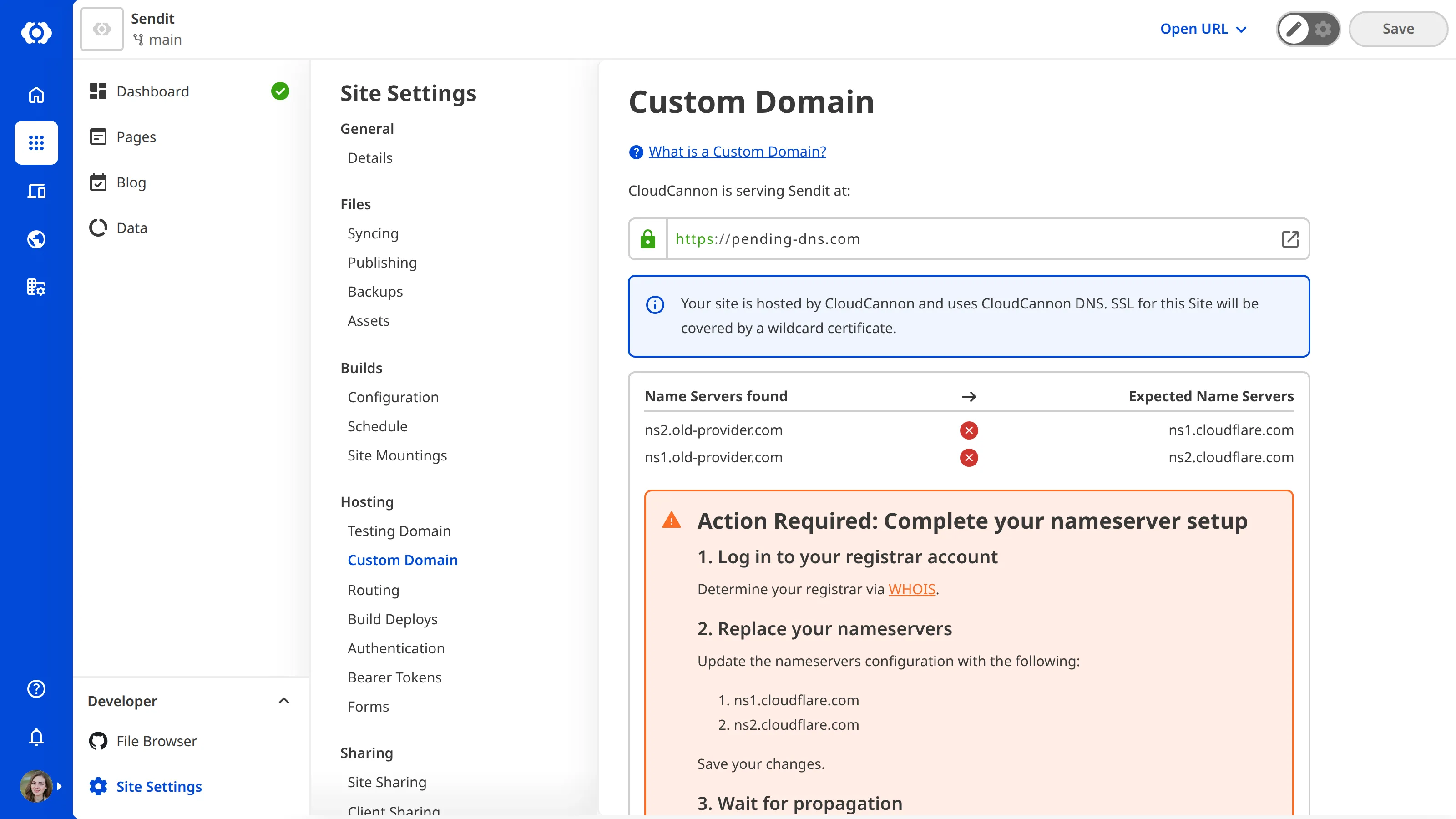A screenshot of the Custom Domain page under Site Settings shows the nameserver setup warning.