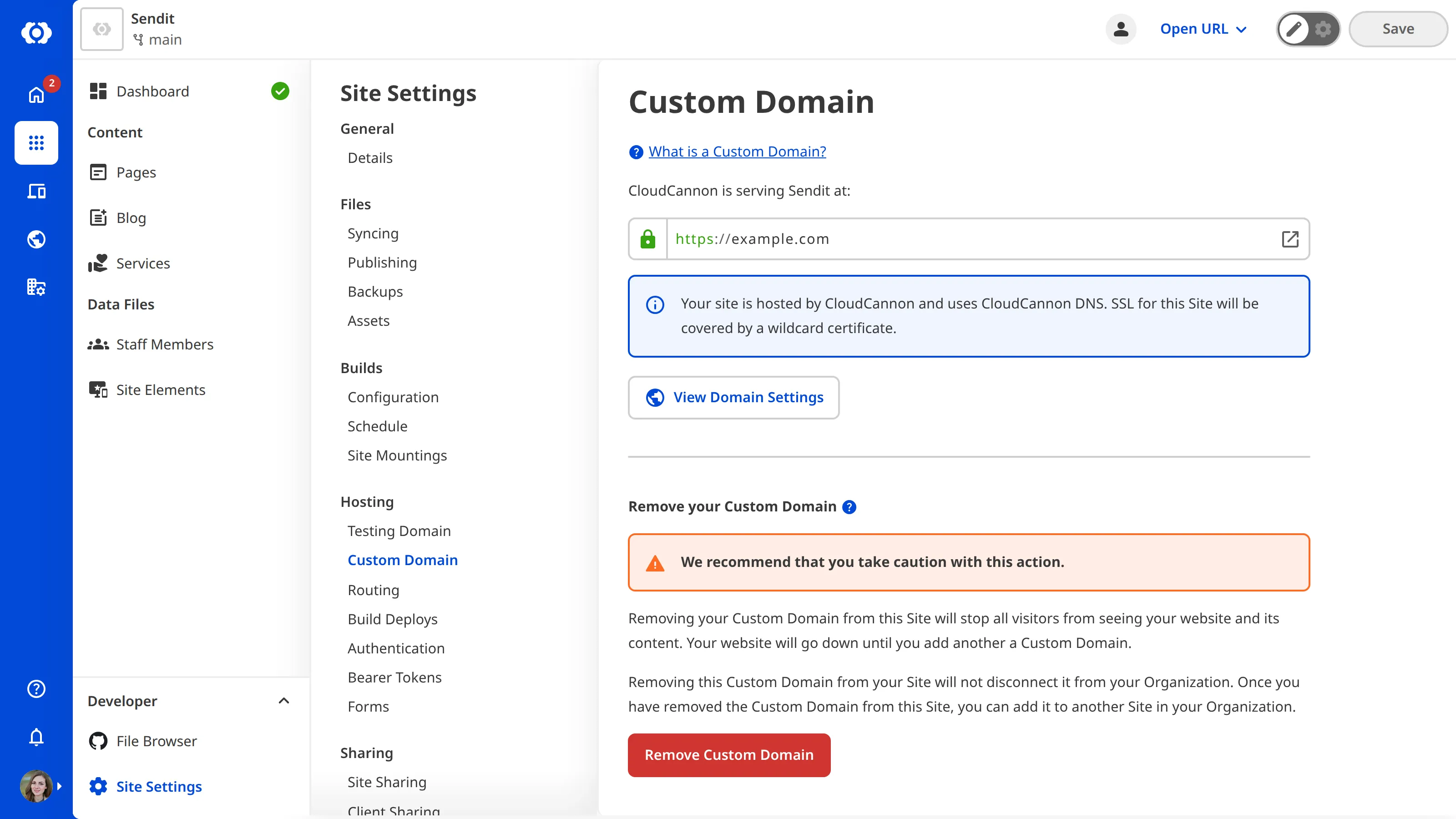 The Custom Domain page A screenshot of the Custom Domain page under Site Settings shows the Remove Custom Domain button.