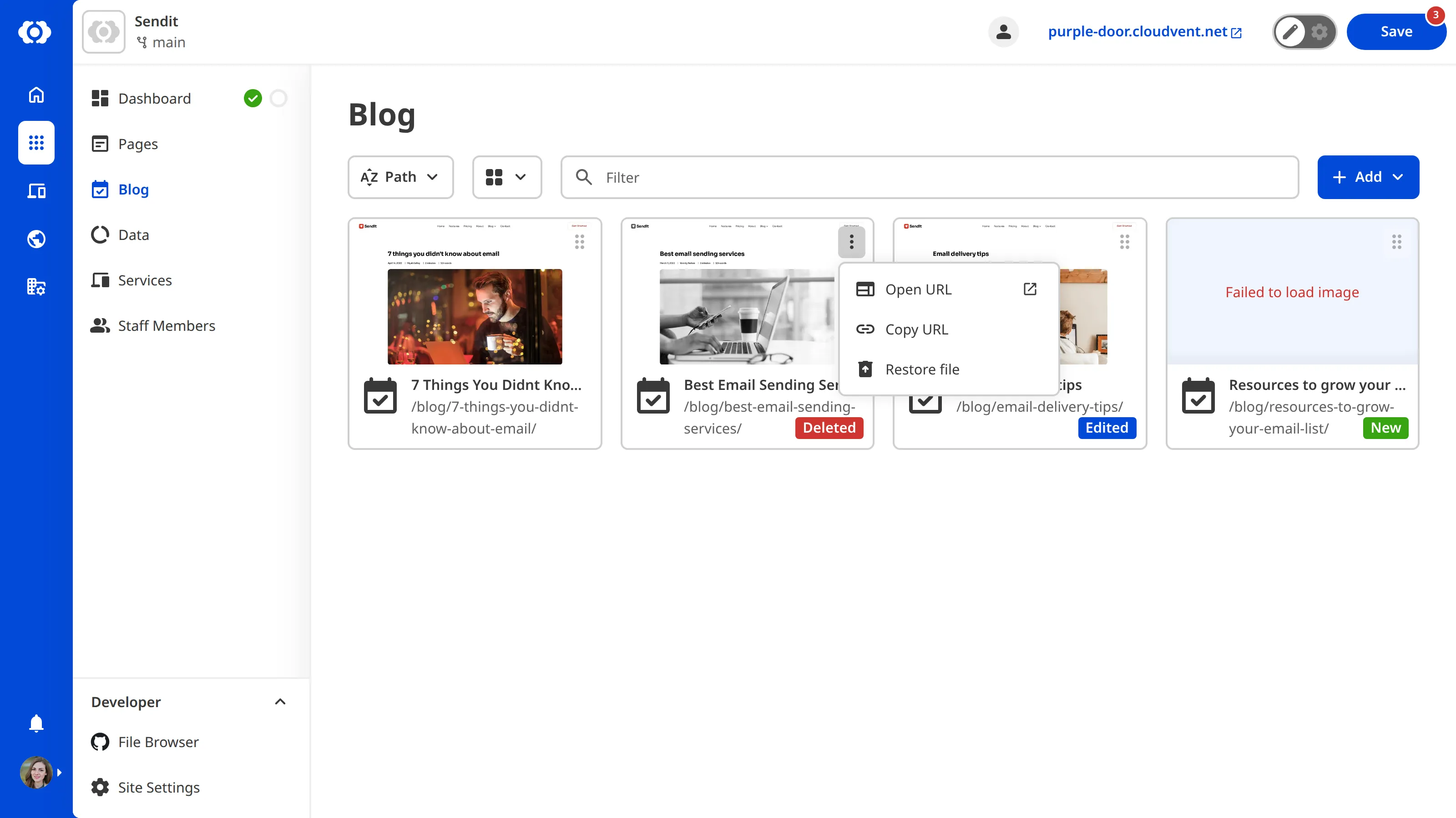 A screenshot of the Collection Browser shows the Context Menu is open for a deleted file.
