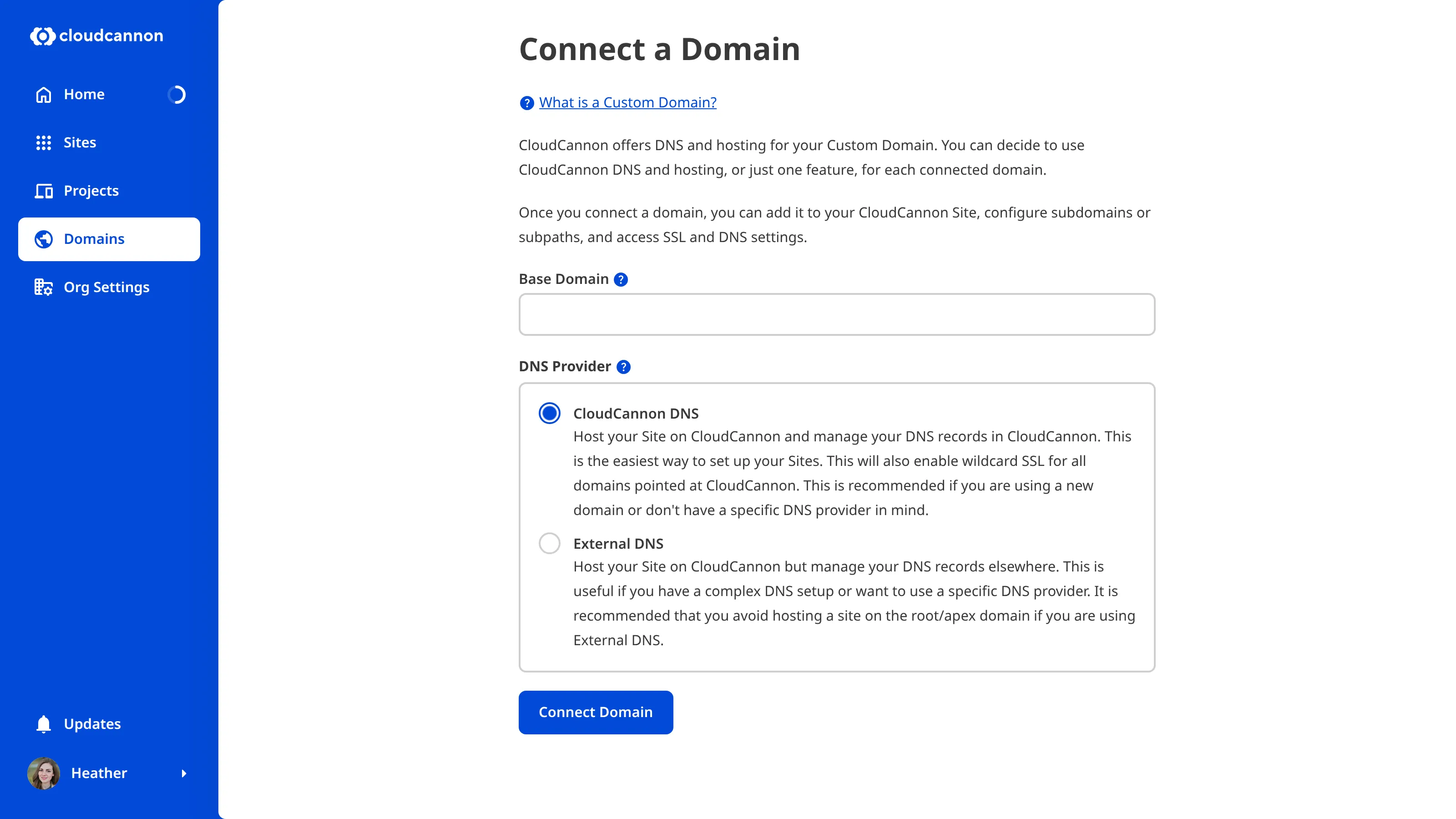 A screenshot of the Connect your first Domain page.
