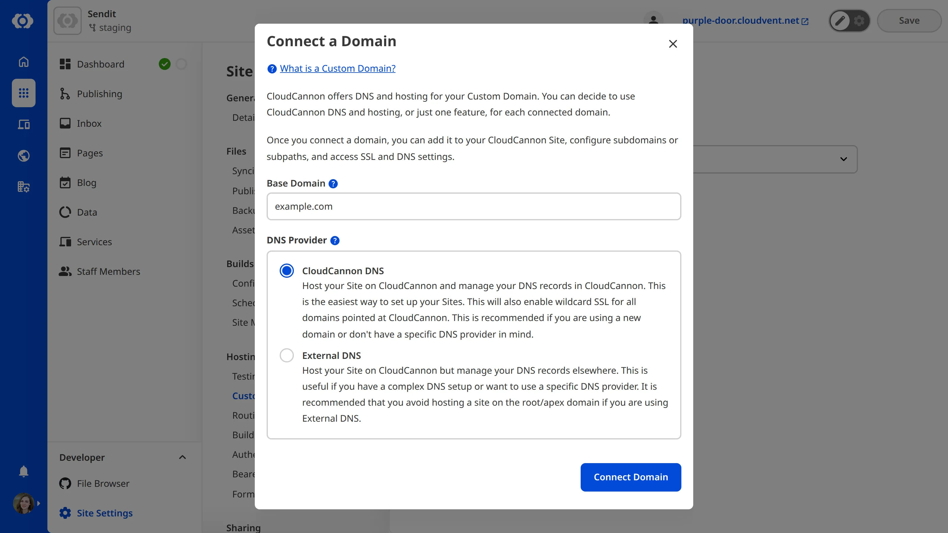 A screenshot of the Custom Domains page under Site Settings shows the Connect a Domain model with inputs for Base Domain and DNS Provider.