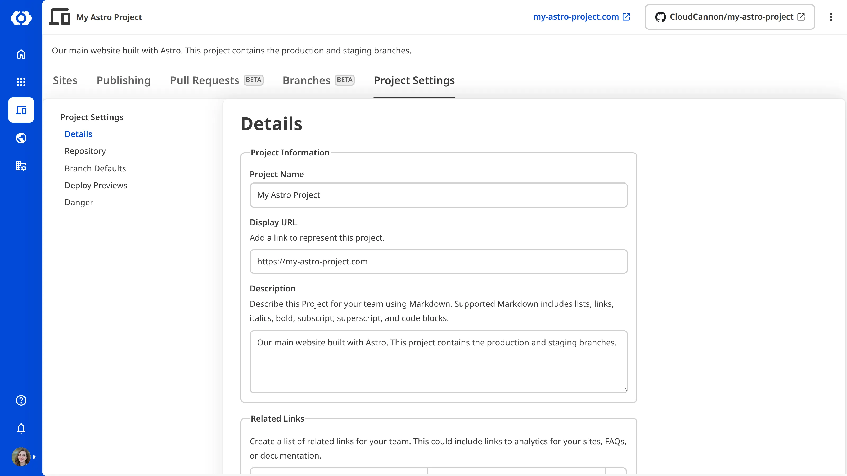 A screenshot of the Project Settings tab showing the Details section with fields for Project Name, Display URL, Description, and Related Links.