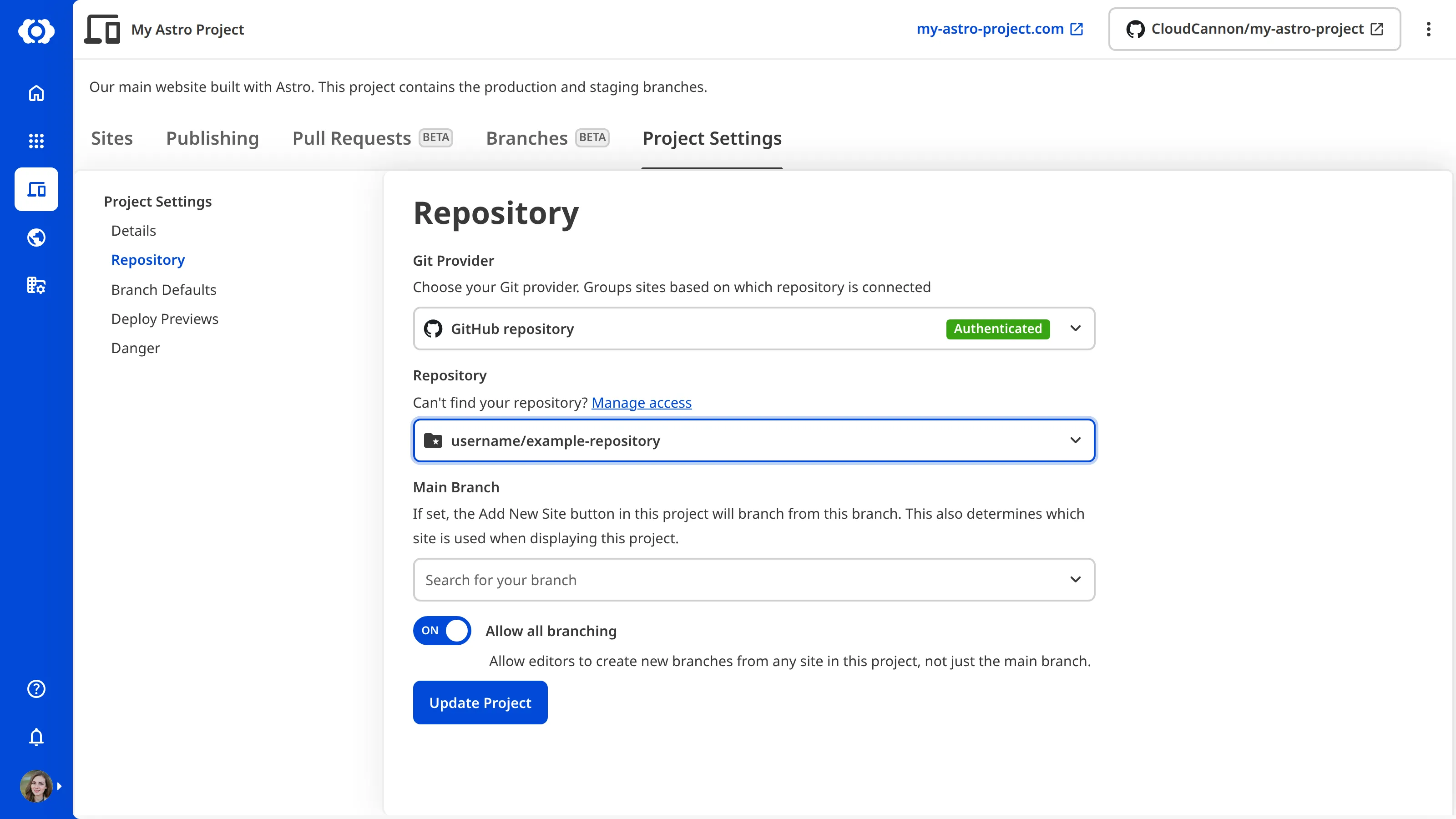 A screenshot of the Repository section in Project Settings, showing the Git Provider, Repository, and Main Branch fields.