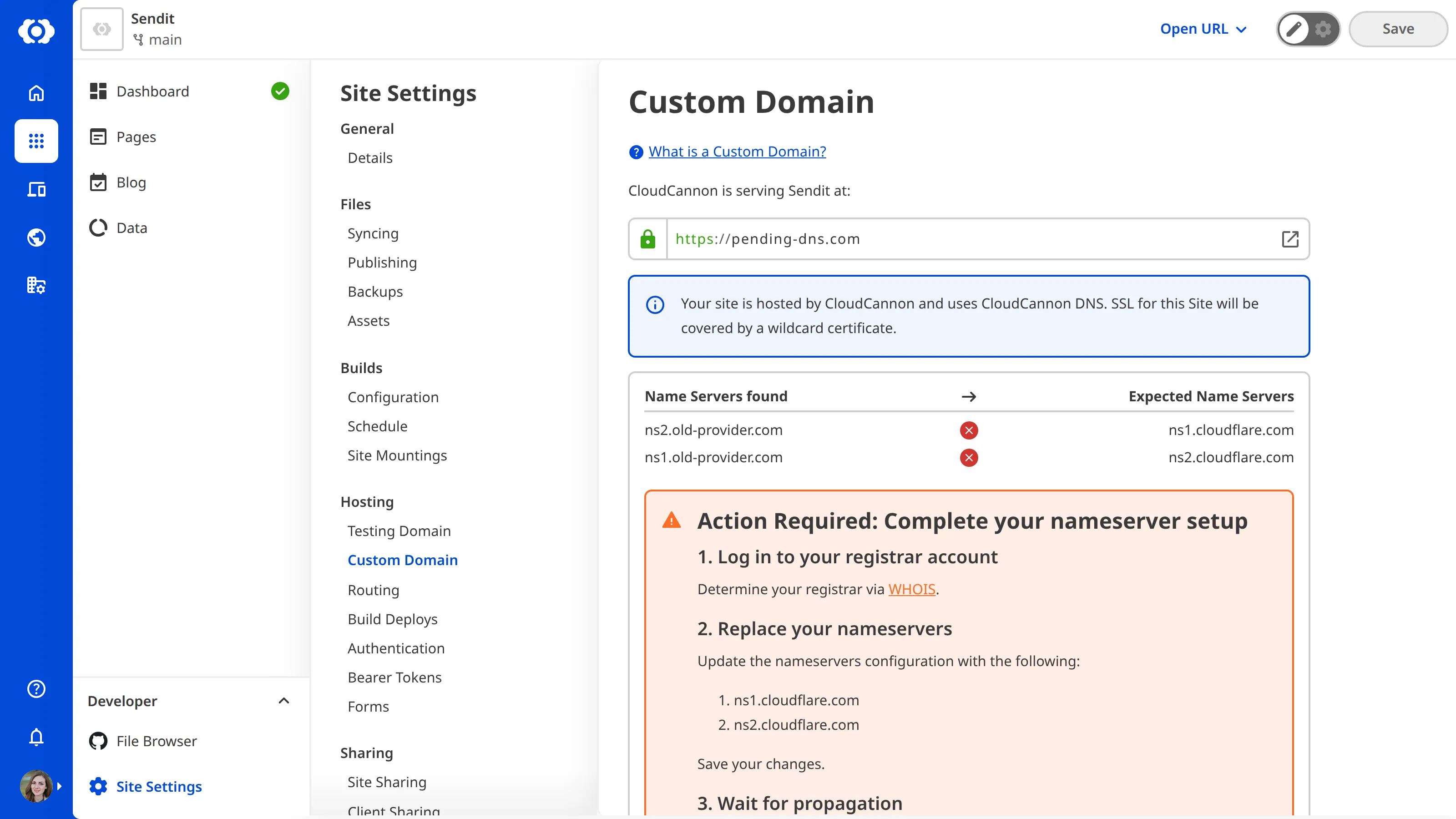 The Custom Domain page under Site Settings A screenshot of the Custom Domain page under Site Settings shows the nameserver setup warning.