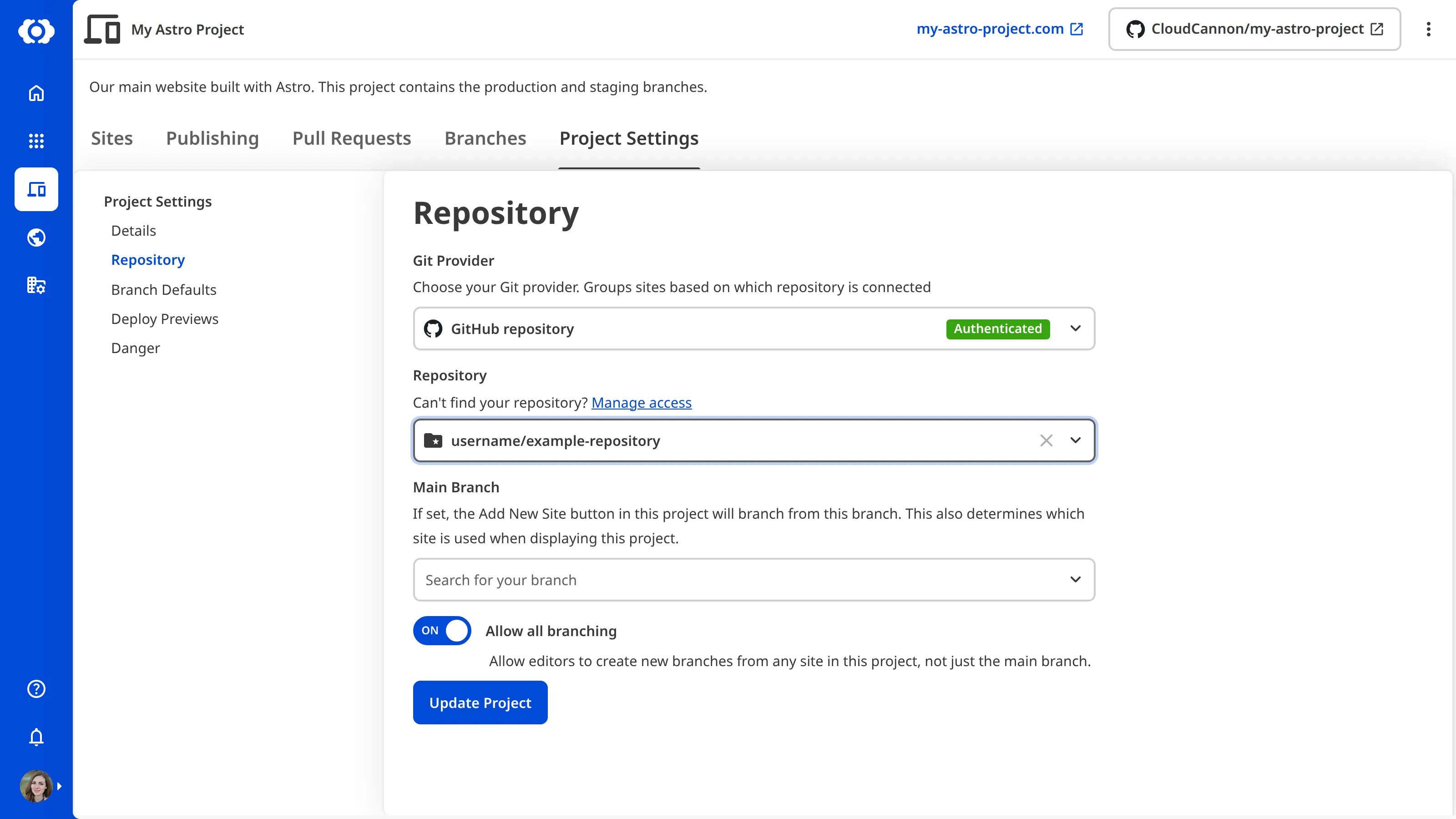 A screenshot of the Repository section in Project Settings, showing the Git Provider, Repository, Main Branch, and Allow all branching toggle.