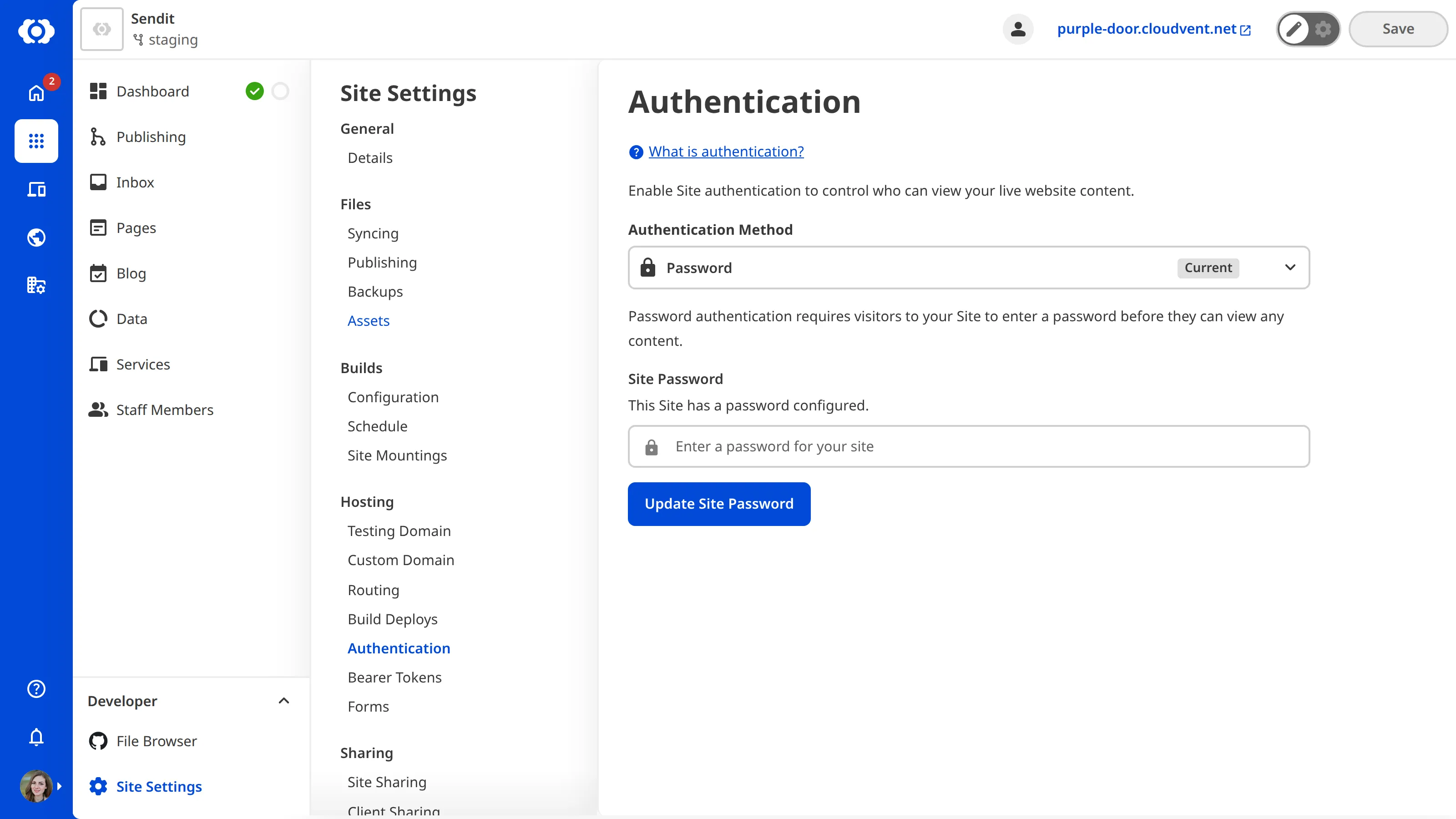A screenshot of the Authentication page shows a this Site has a password set.