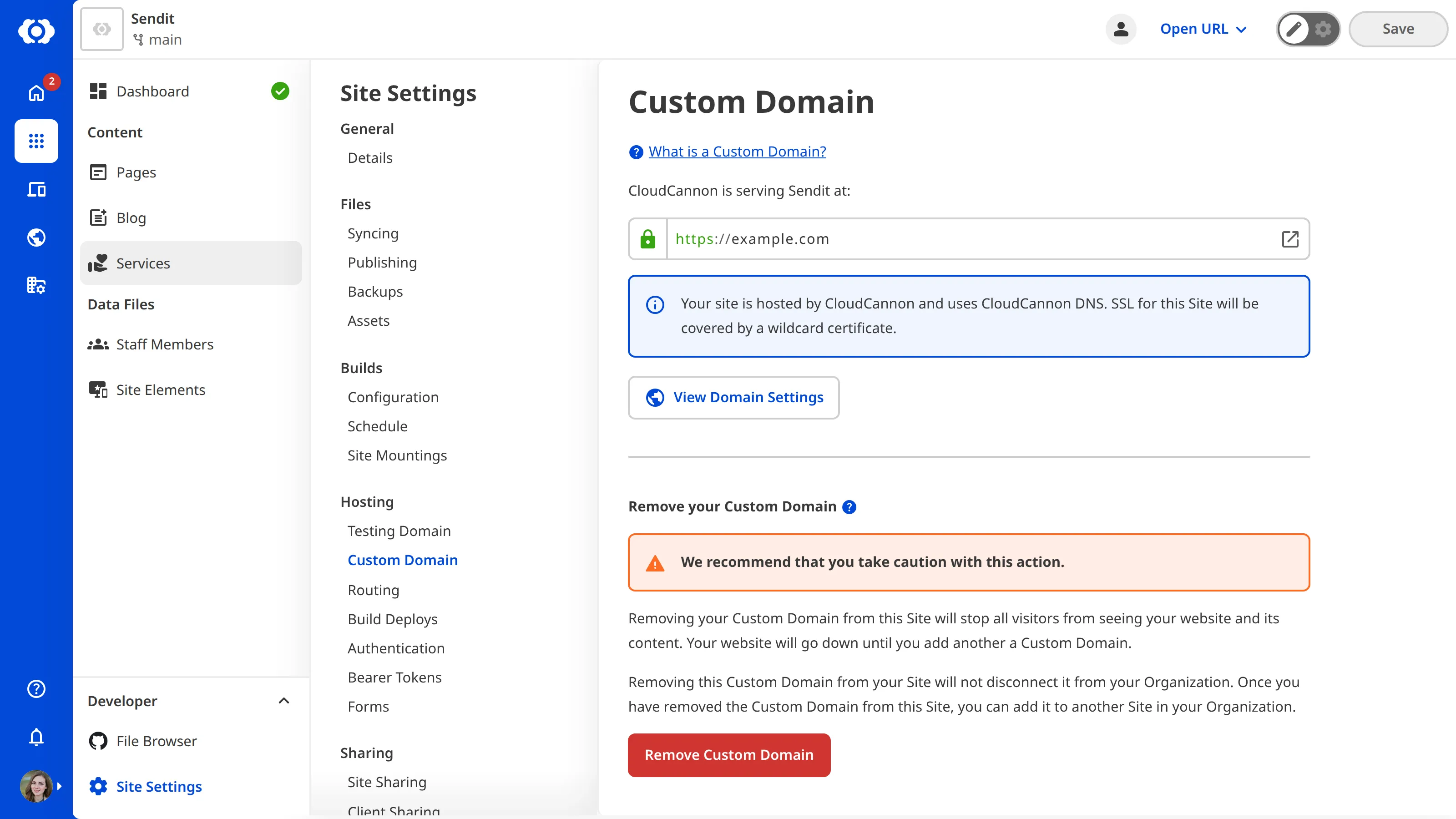 A screenshot of the Custom Domain page under Site Settings shows the Remove Custom Domain button.