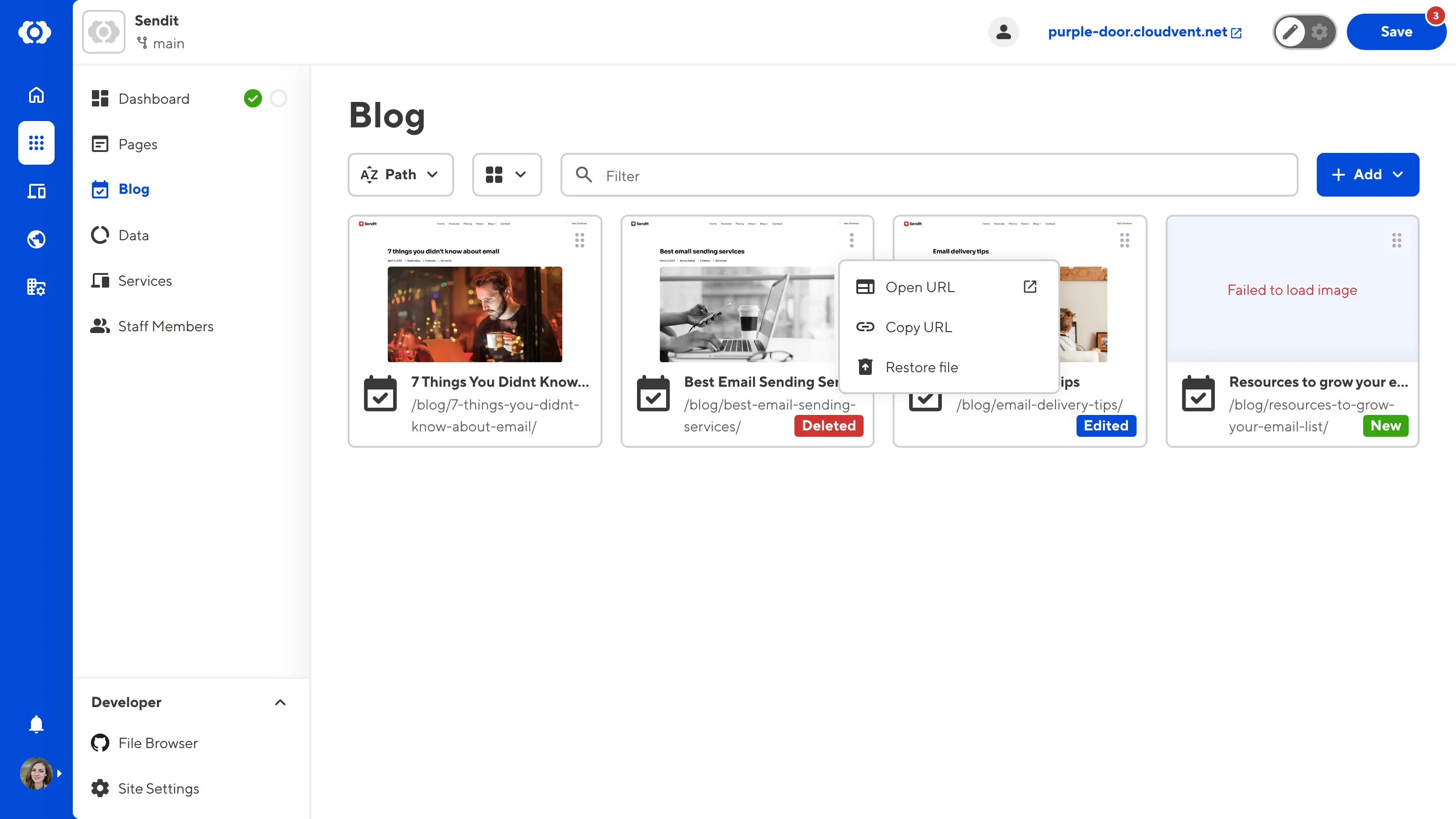 A screenshot of the Collection Browser shows the Context Menu is open for a deleted file.