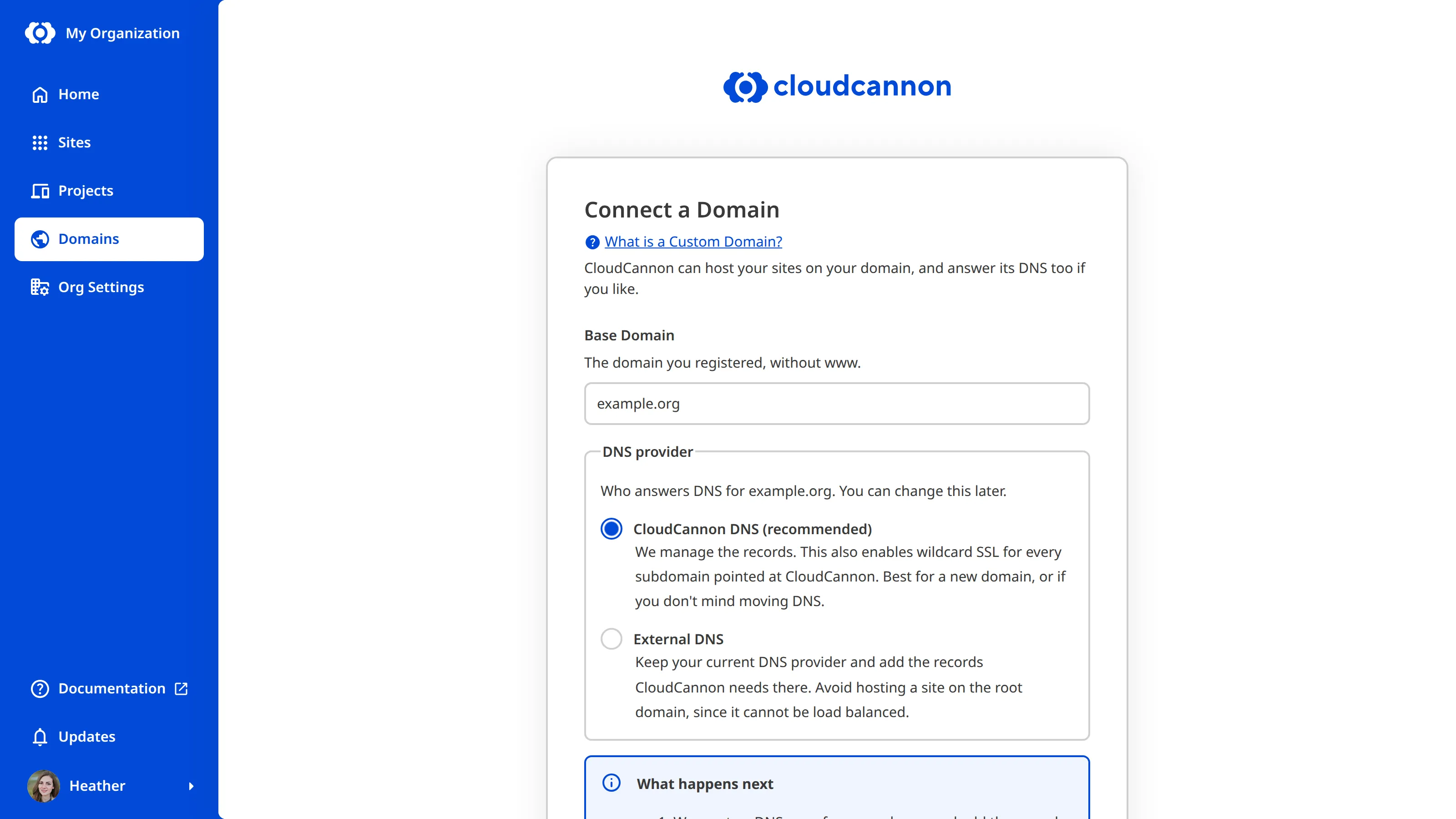 The Connect a Domain page A screenshot of the Connect a Domain page shows a text field for your base domain name and radio buttons for your DNS provider.
