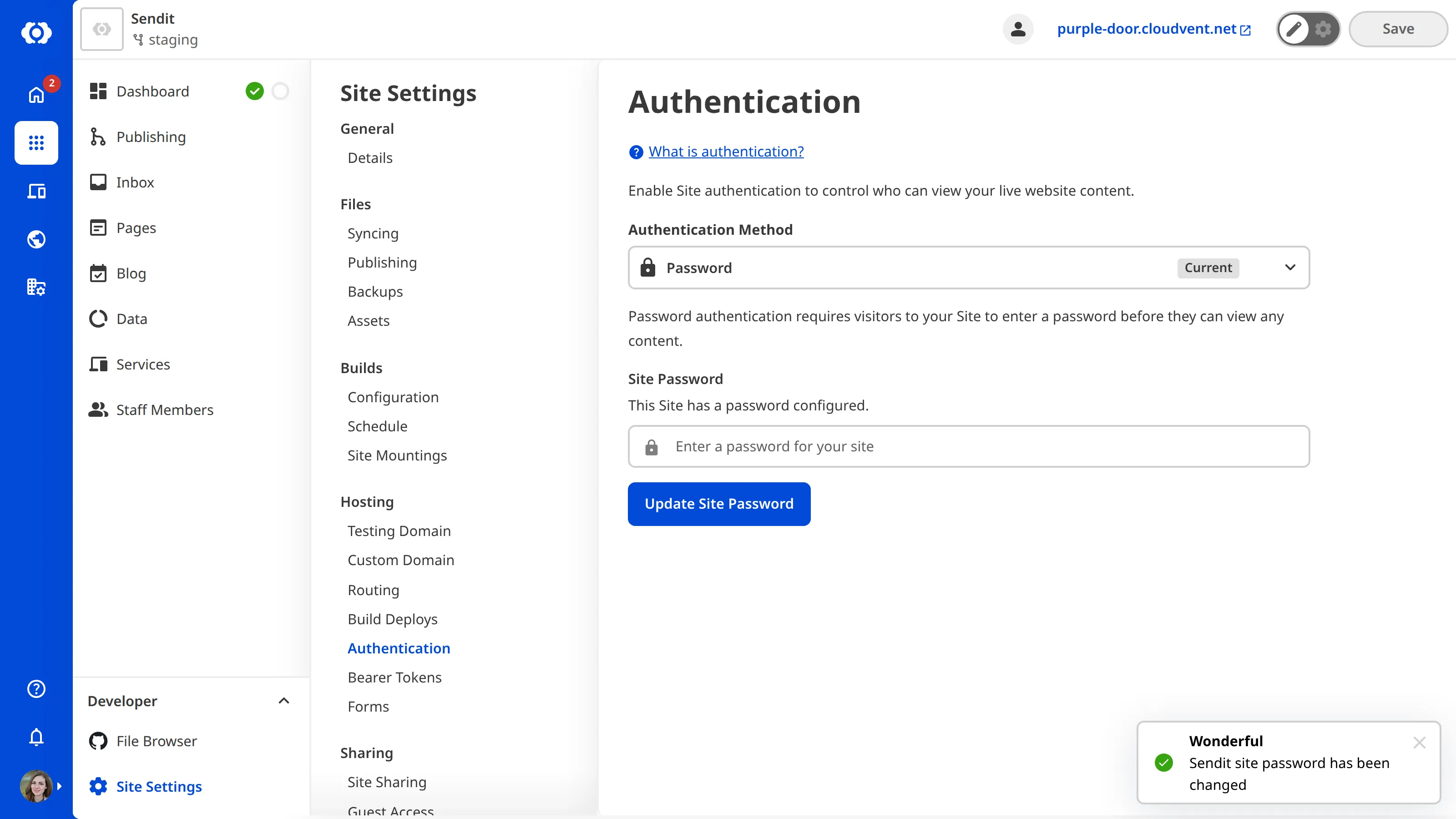 A screenshot of the Authentication page shows a this Site has a password set.