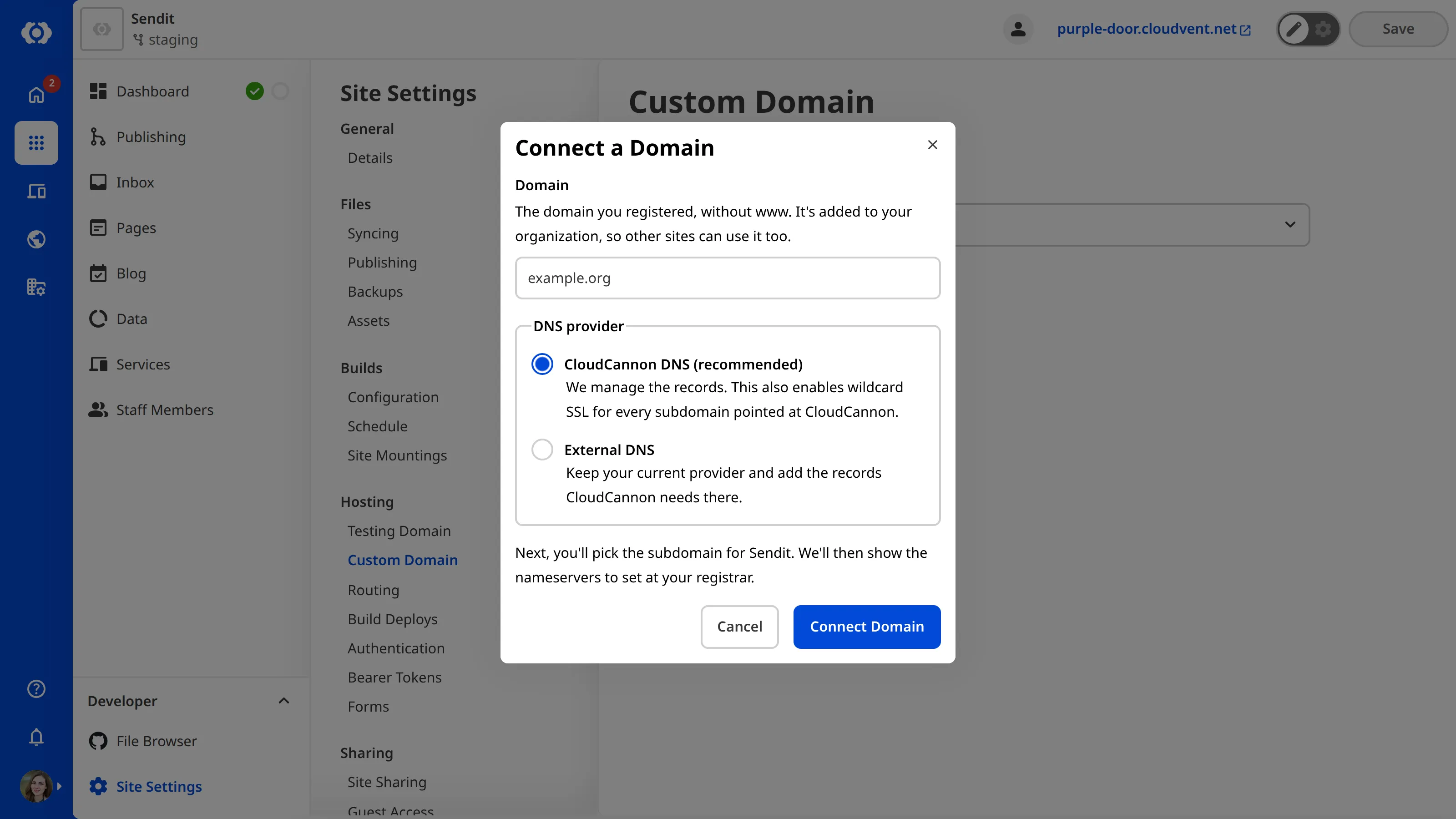 The Custom Domains page A screenshot of the Custom Domains page under Site Settings shows the Connect a Domain model with inputs for Base Domain and DNS Provider.