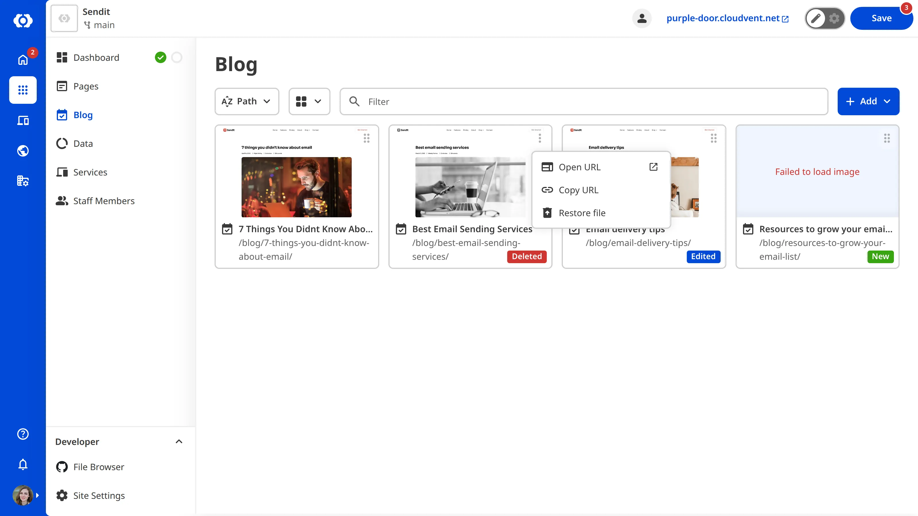 A screenshot of the Collection Browser shows the Context Menu is open for a deleted file.