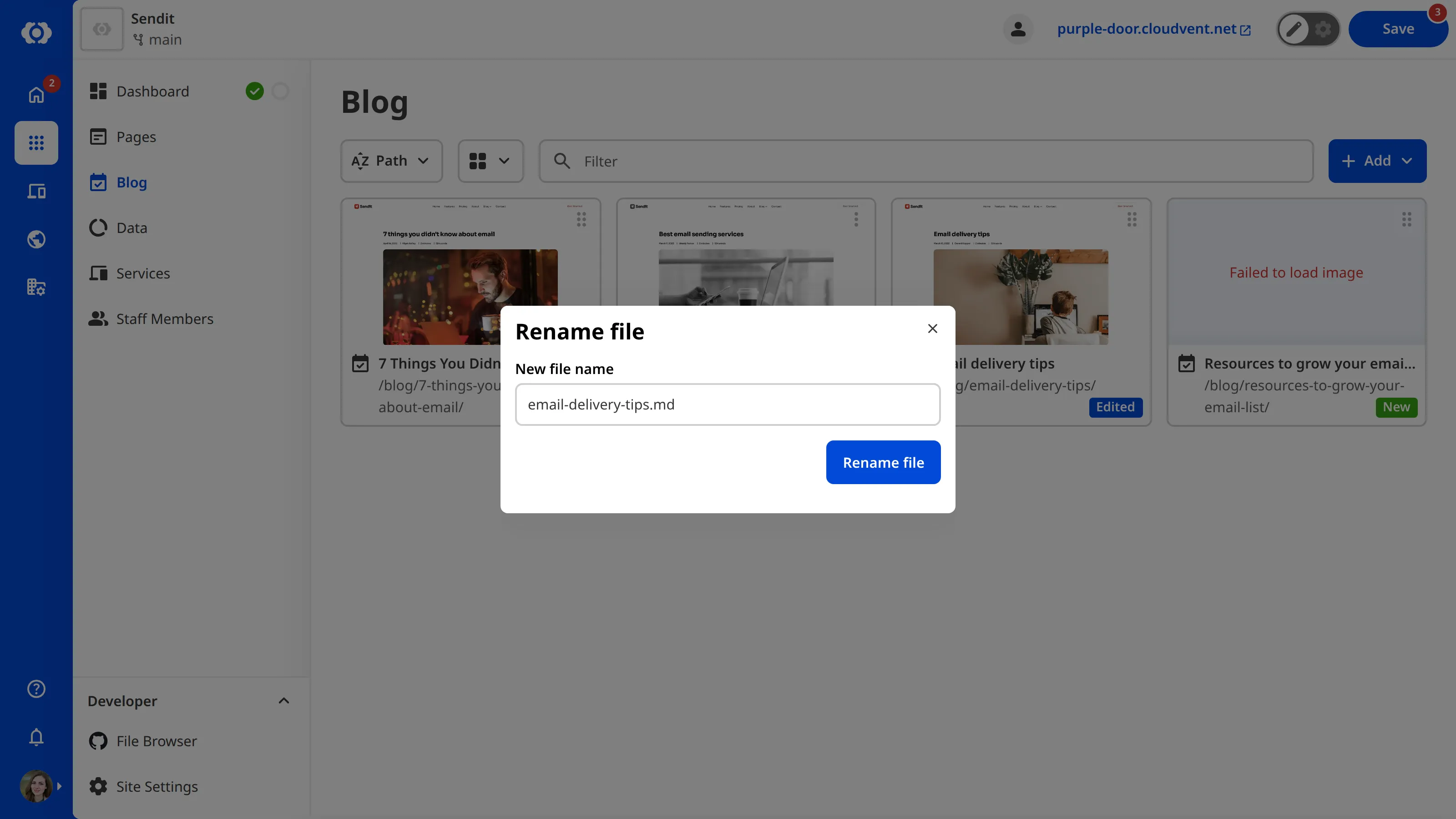 A screenshot of the Collection Browser shows the Rename file pop up.