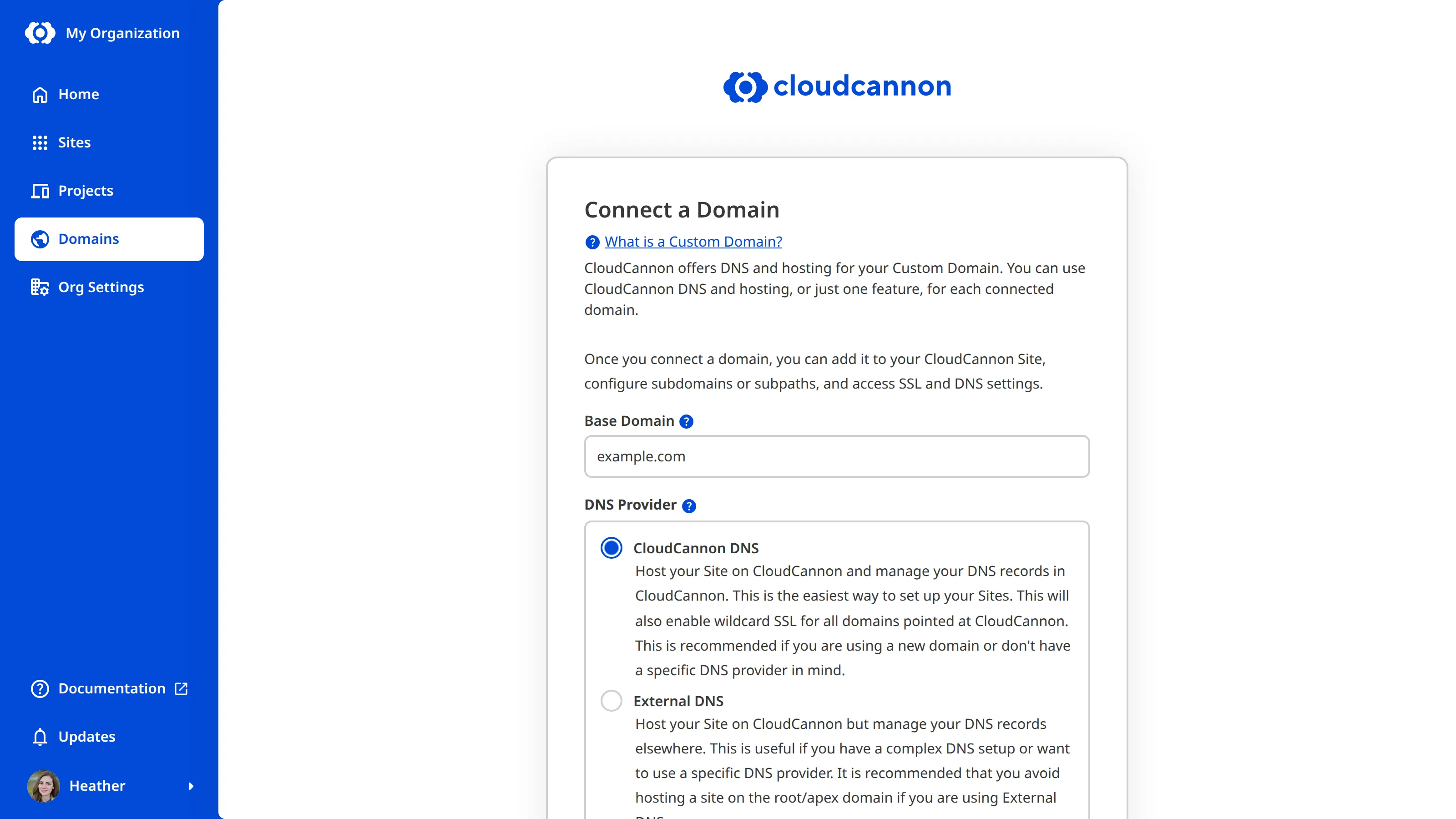 A screenshot of the Connect a Domain page shows a text field for your base domain name and radio buttons for your DNS provider.