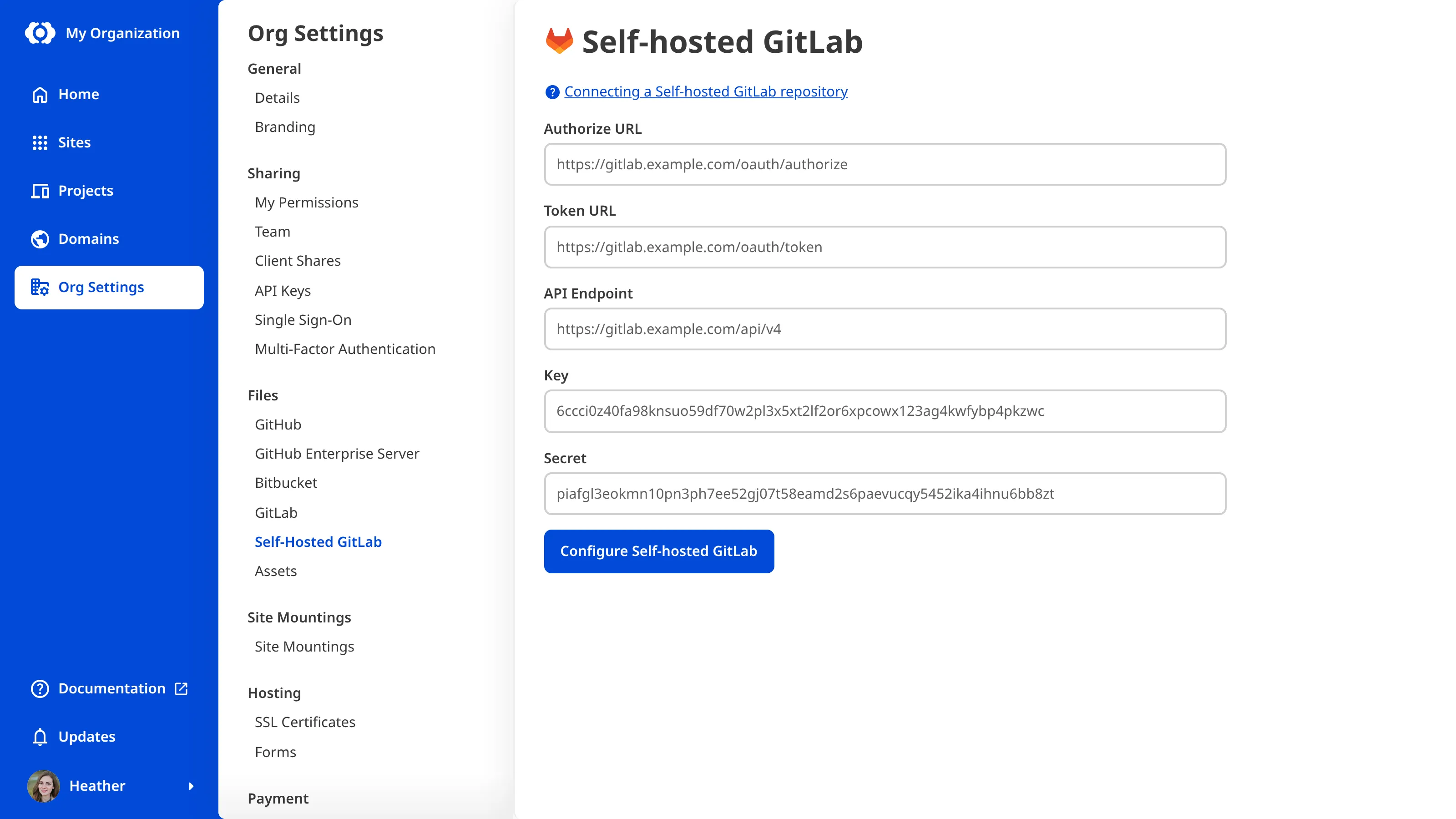 The Organization Settings page for Self-hosted GitLab showing the initial configuration form with fields for Authorize URL, Token URL, API Endpoint, Key, and Secret.