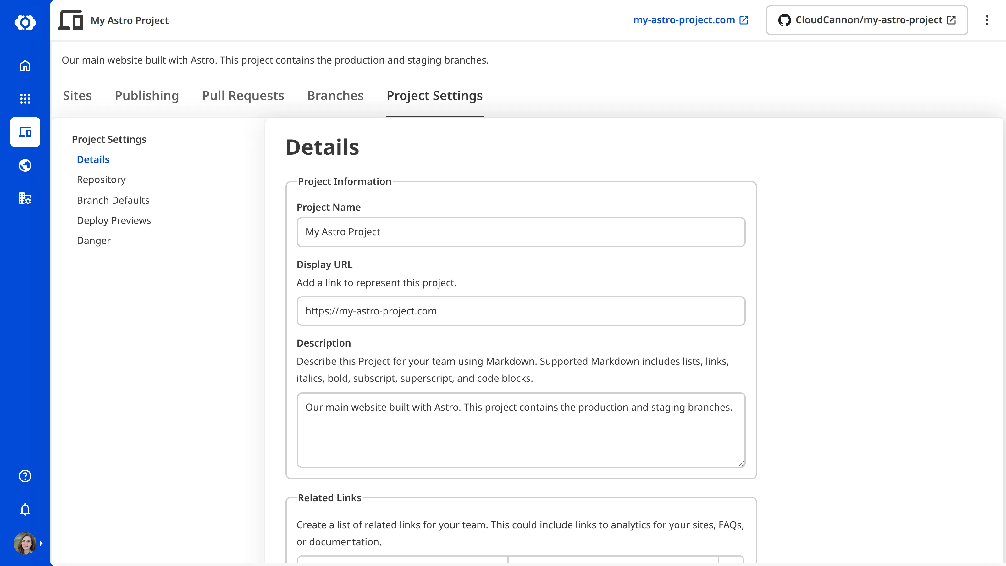 A screenshot of the Project Settings tab showing the Details section with fields for Project Name, Display URL, Description, and Related Links.