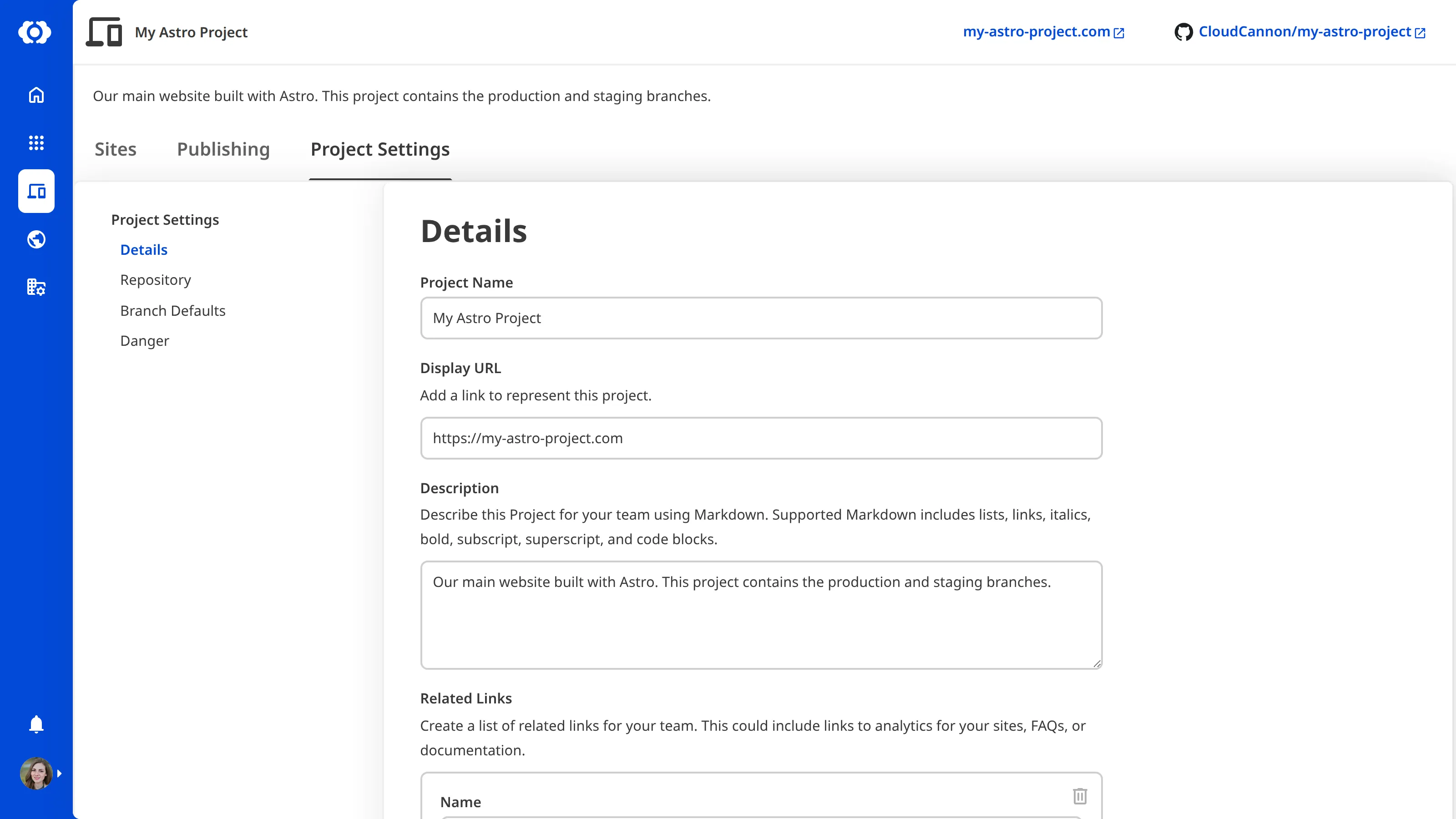 A screenshot of the Project Settings tab showing the Details section with fields for Project Name, Display URL, Description, and Related Links.