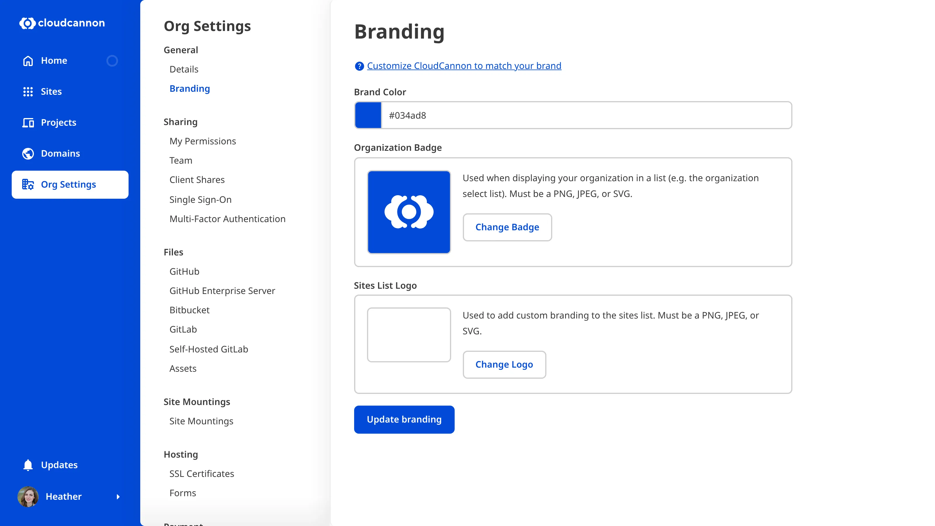 Screenshot of organization branding interface