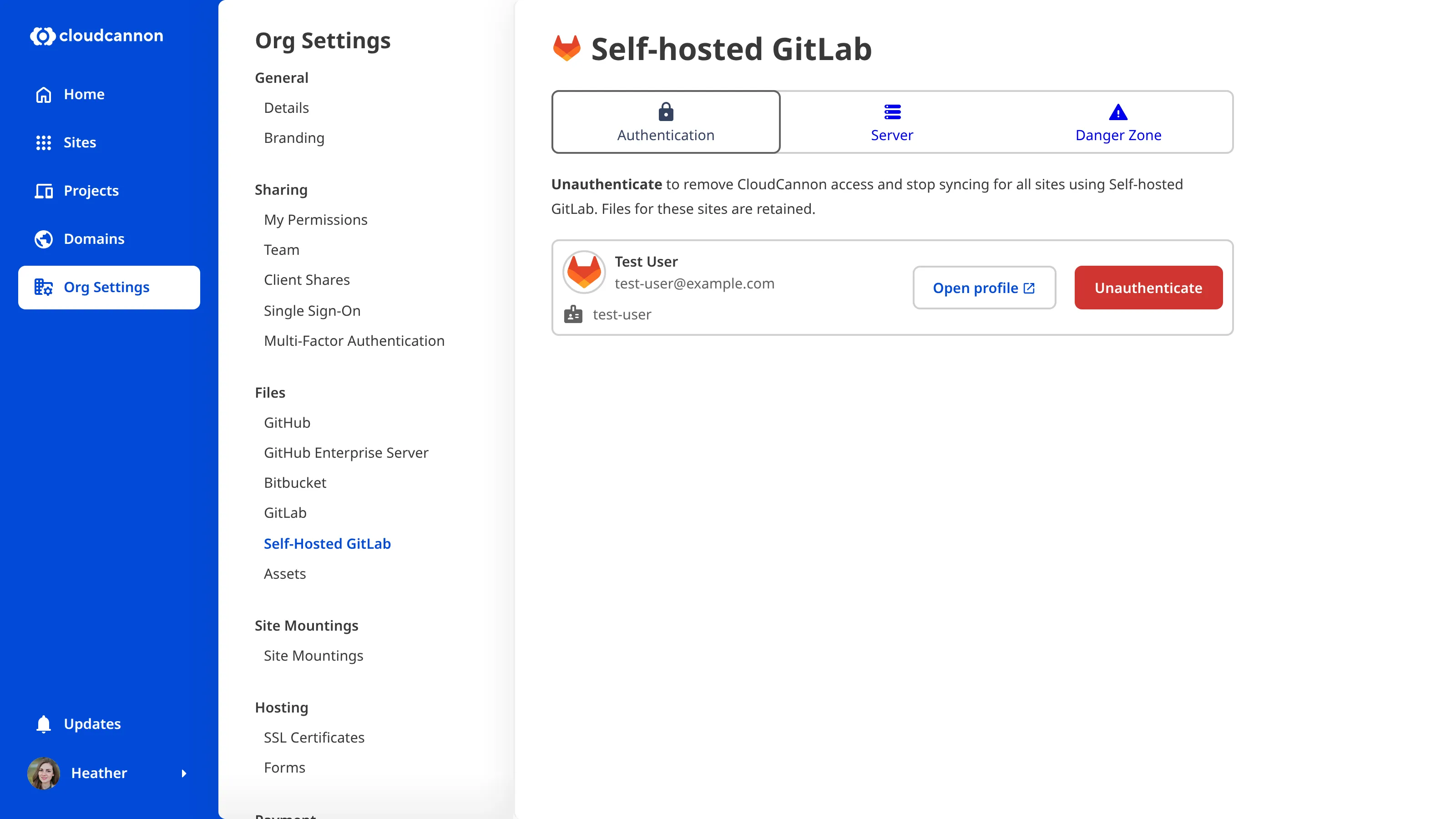 A screenshot of the Organization Settings page for Self-hosted GitLab shows the configured and authenticated state with Authentication, Server, and Danger Zone tabs.