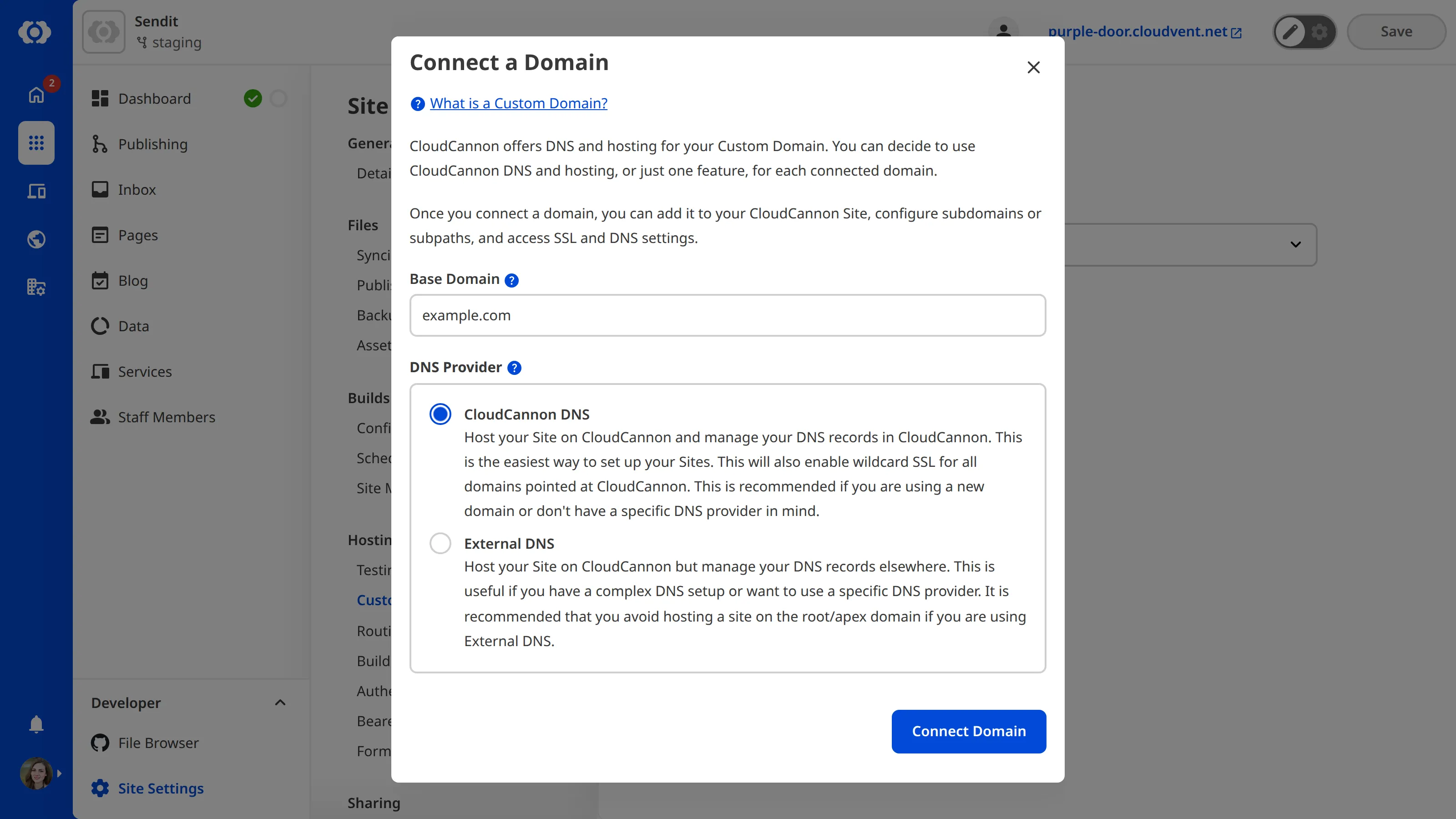 A screenshot of the Custom Domains page under Site Settings shows the Connect a Domain model with inputs for Base Domain and DNS Provider.
