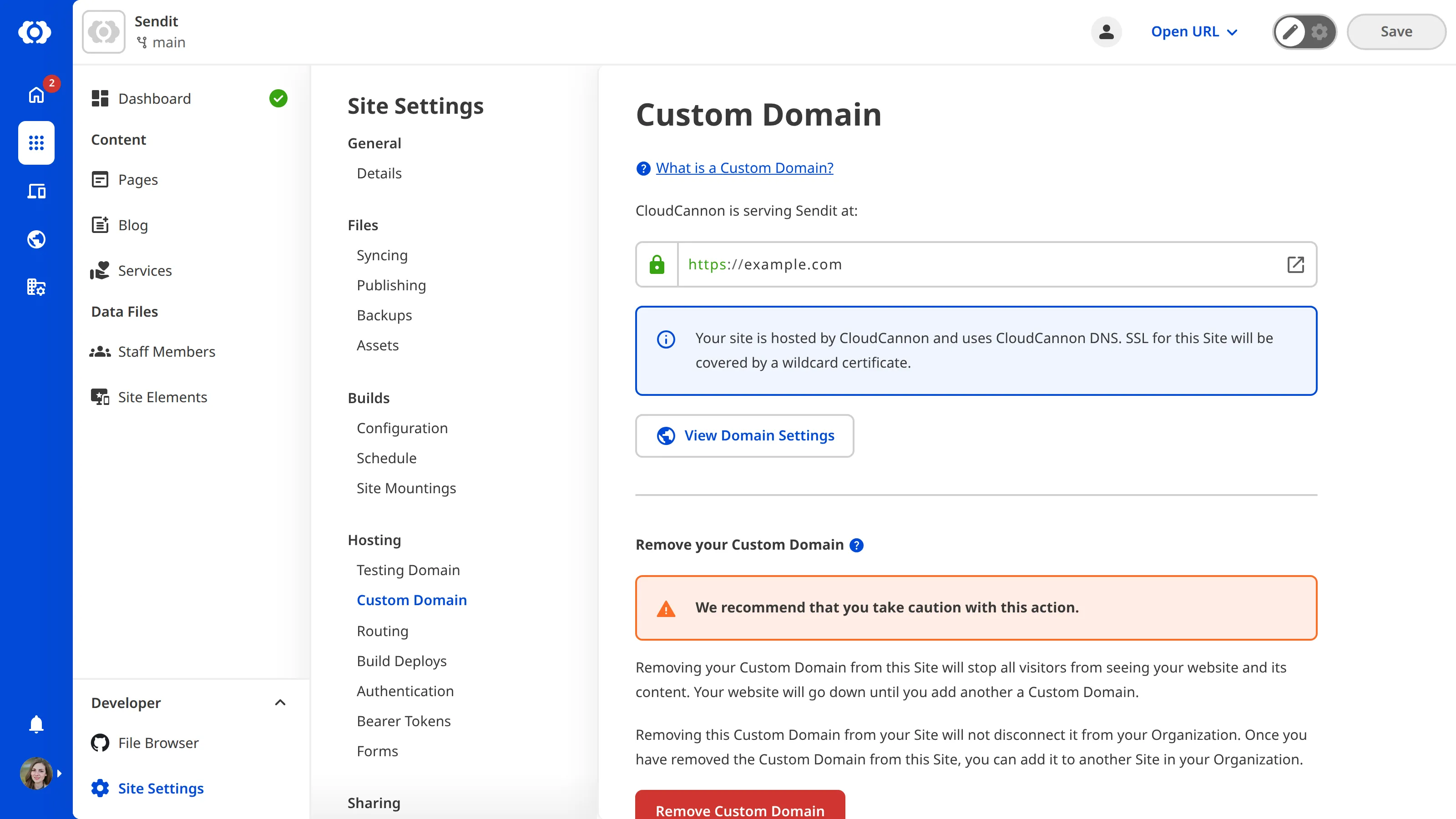 A screenshot of the Custom Domain page under Site Settings shows the Remove Custom Domain button.