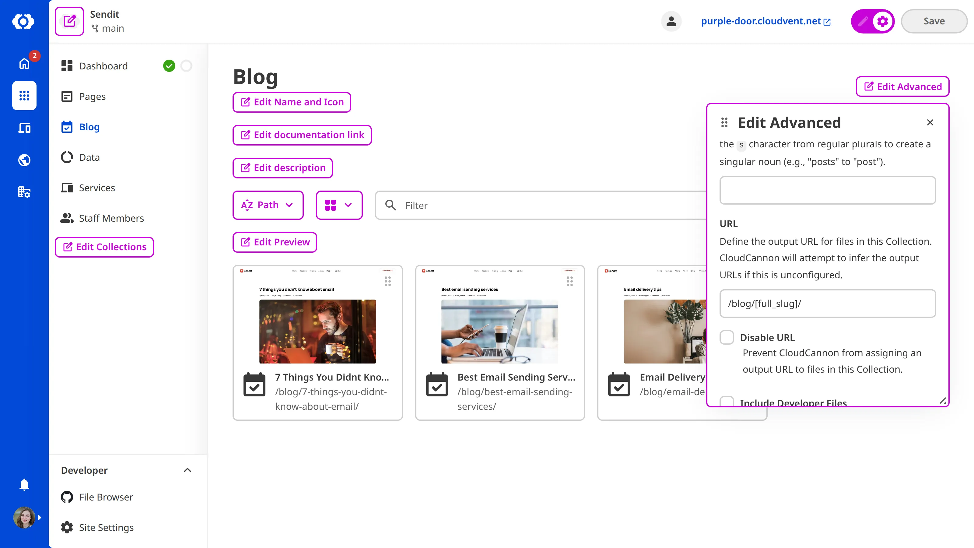 A screenshot of the Collection Browser shows the Edit Advanced data panel open with a text field for URL configuration.