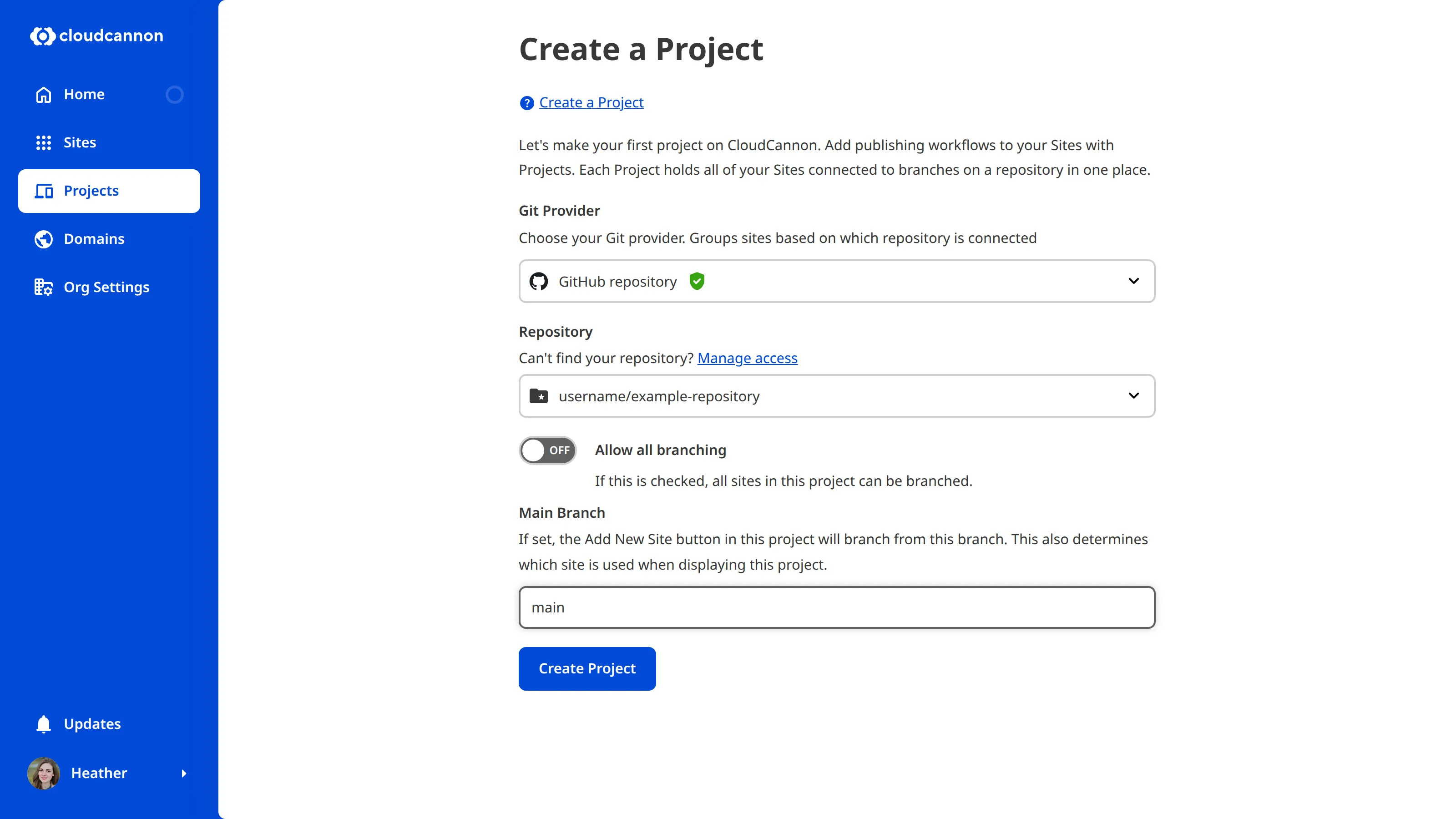 A screenshot of the Create a Project form with all fields completed, including Git Provider, Repository, and Main Branch.
