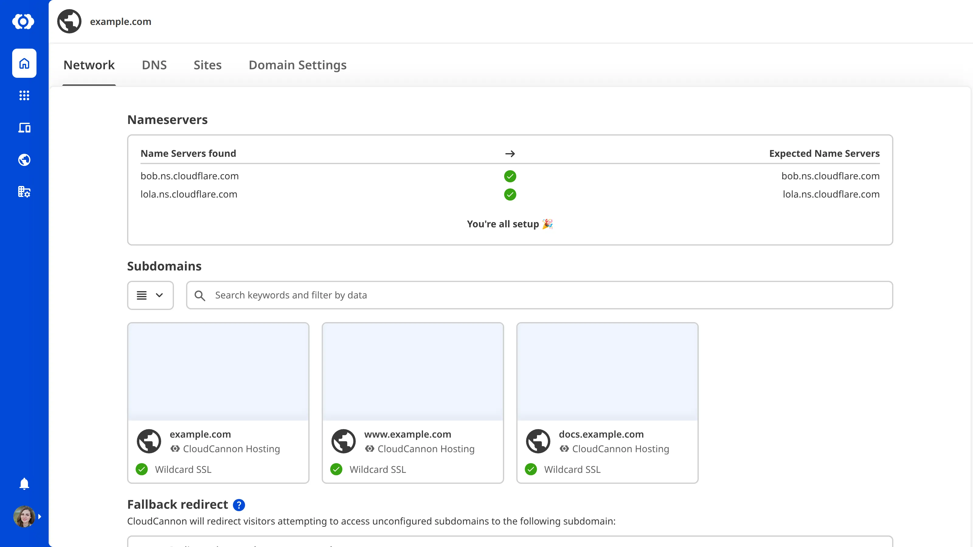 A screenshot of the Domain Network page shows that nameservers are correctly configured.
