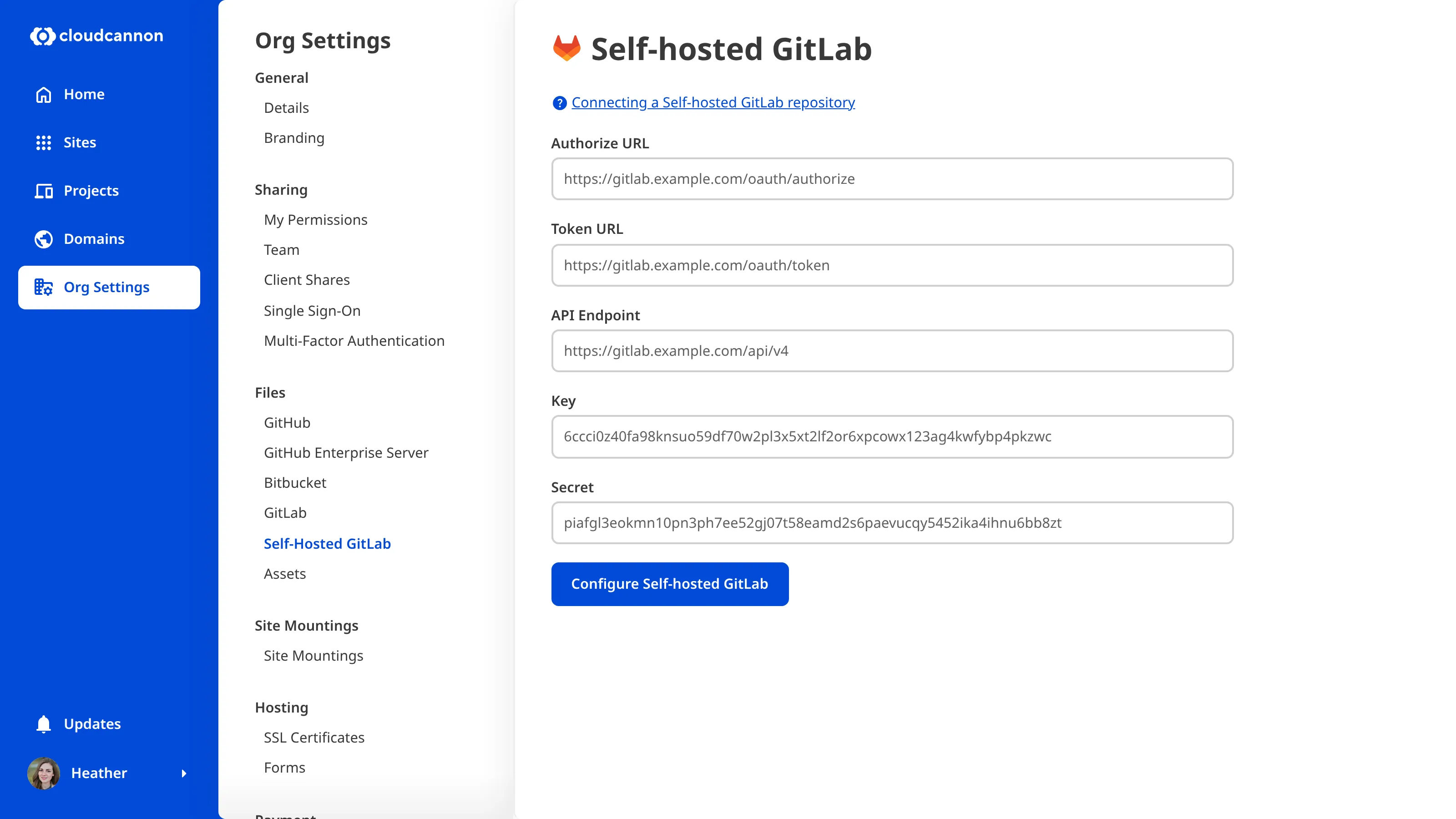 The Organization Settings page for Self-hosted GitLab showing the initial configuration form with fields for Authorize URL, Token URL, API Endpoint, Key, and Secret.