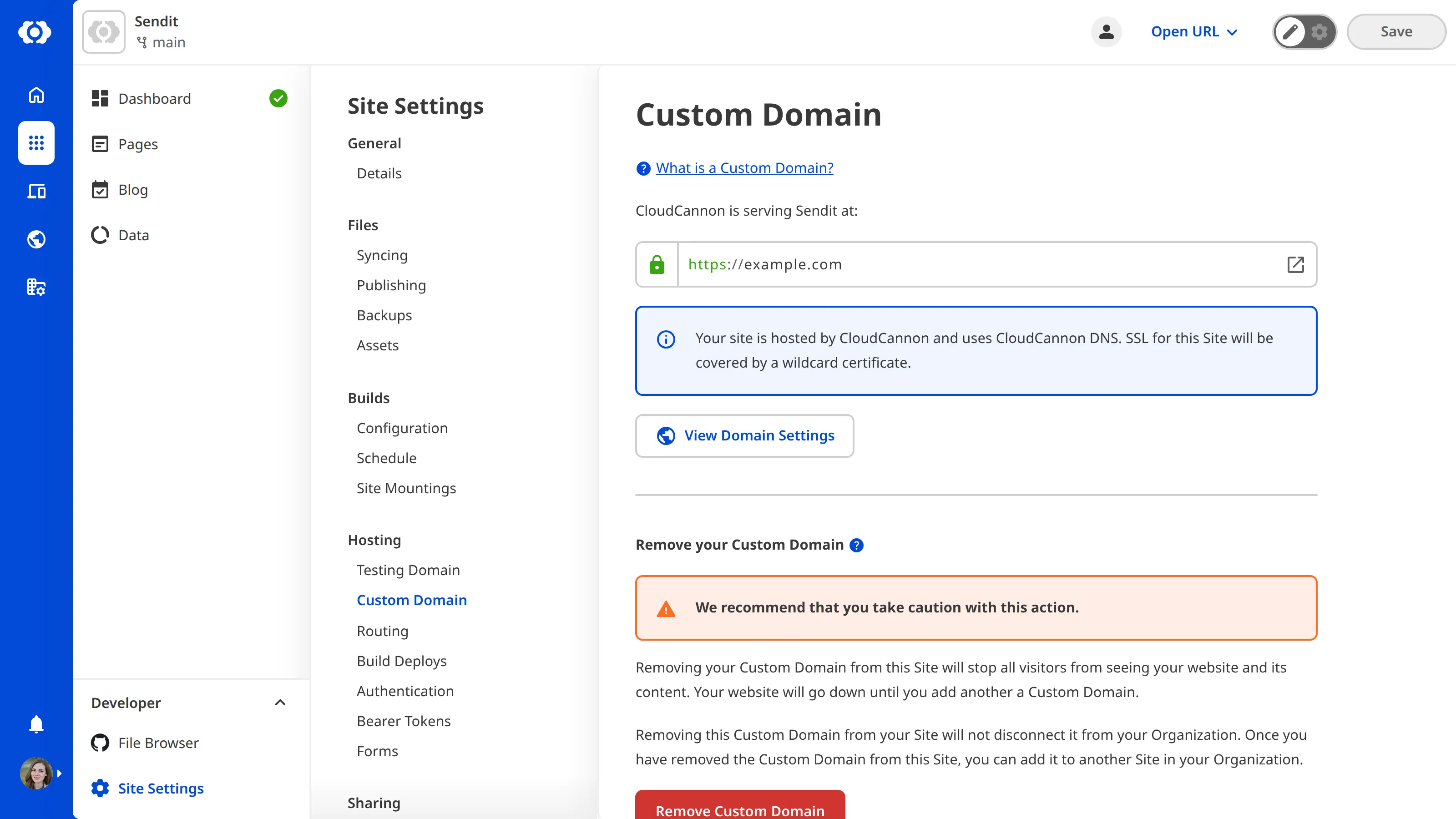 A screenshot of the Custom Domain page under Site Settings shows that nameservers are correctly configured.