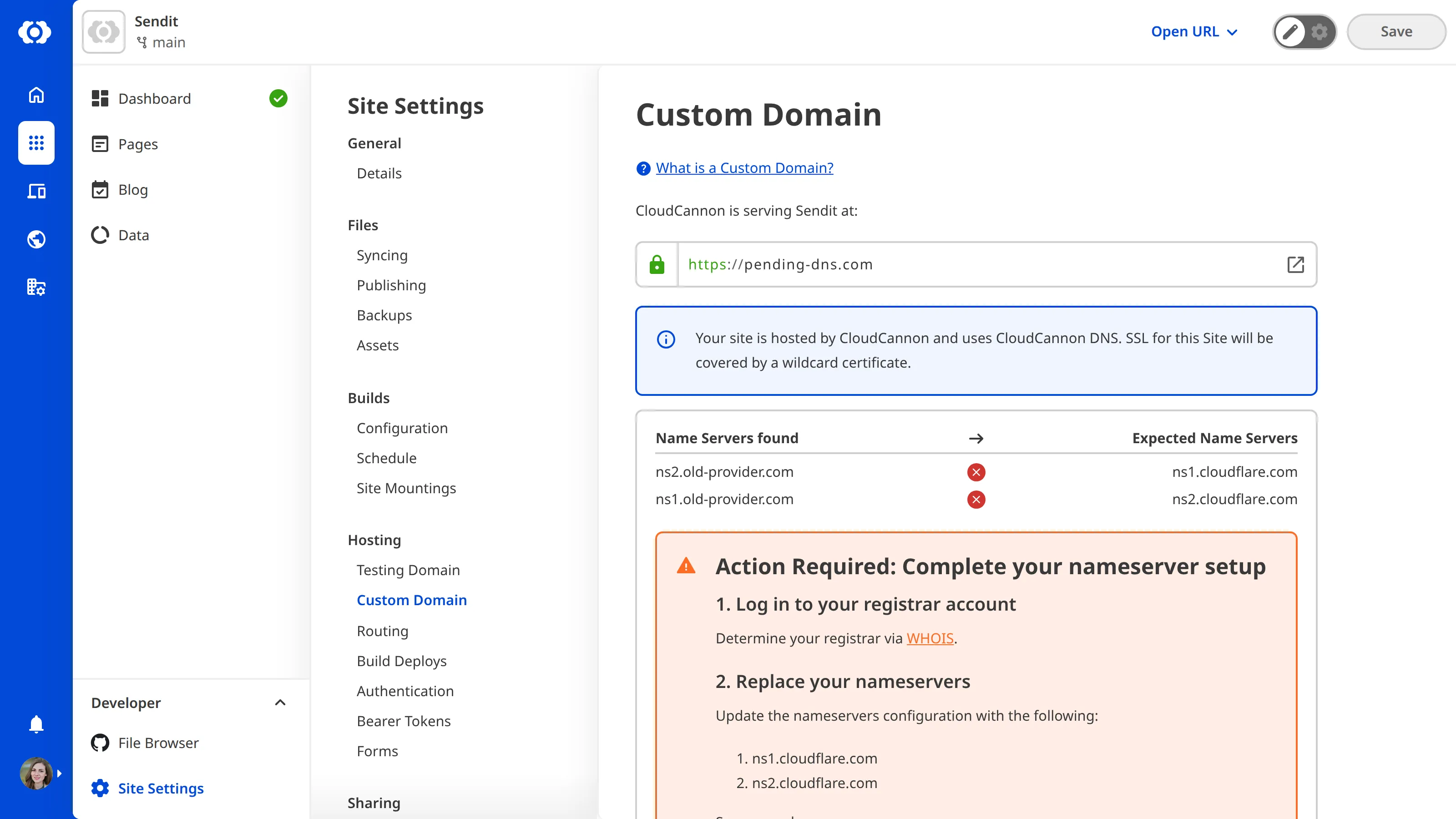 A screenshot of the Custom Domain page under Site Settings shows the nameserver setup warning.