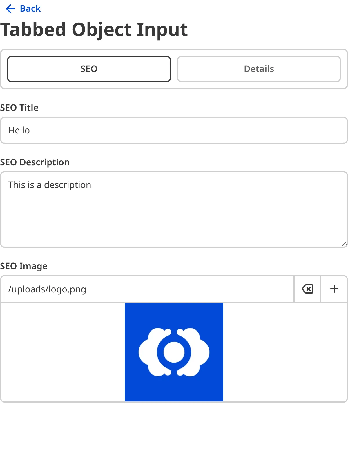 A screenshot of top-level tabbed Object inputs.