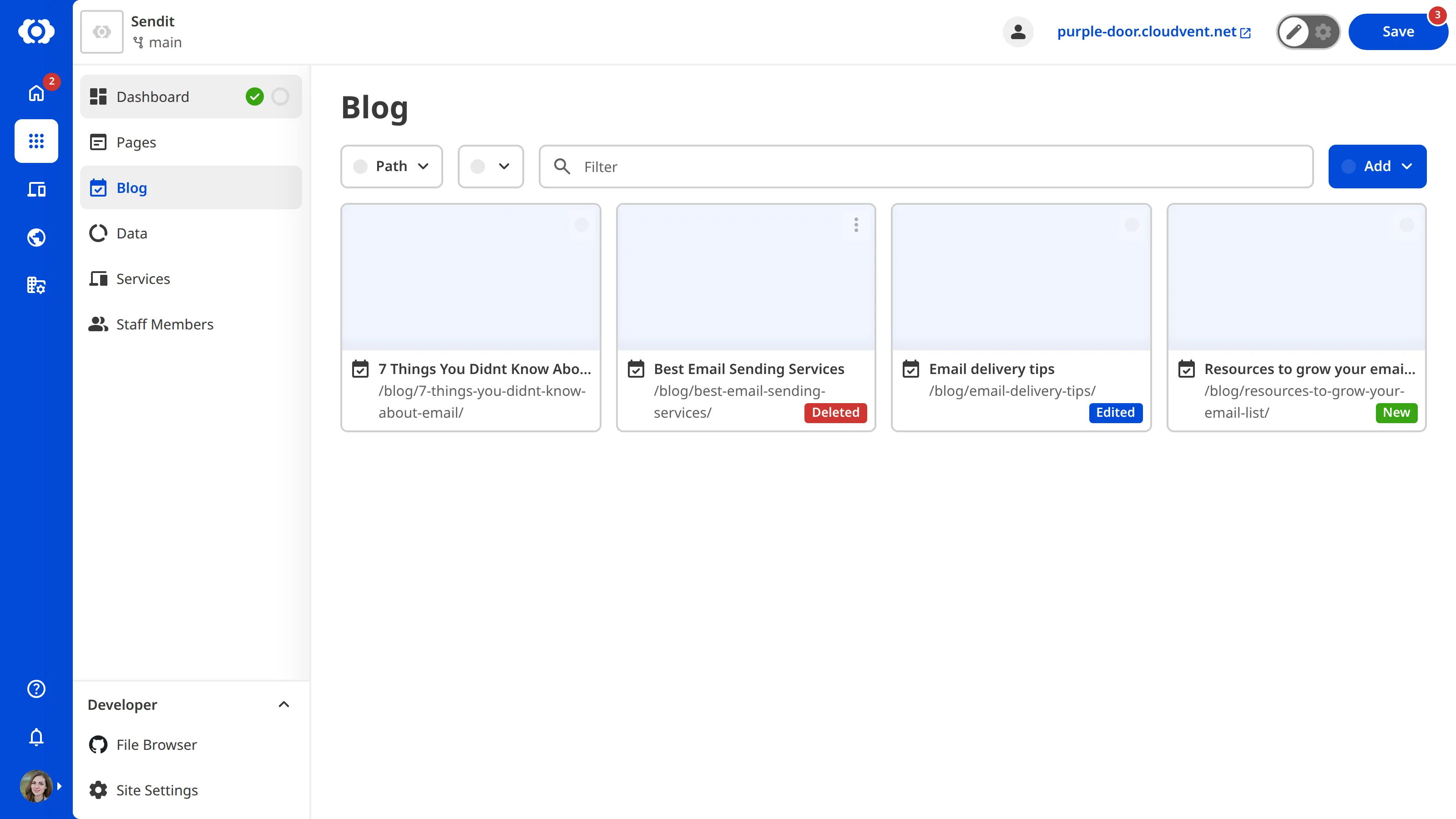 A closeup of the collection browser showing the New, Edited, and Deleted badges on files with unsaved changes.