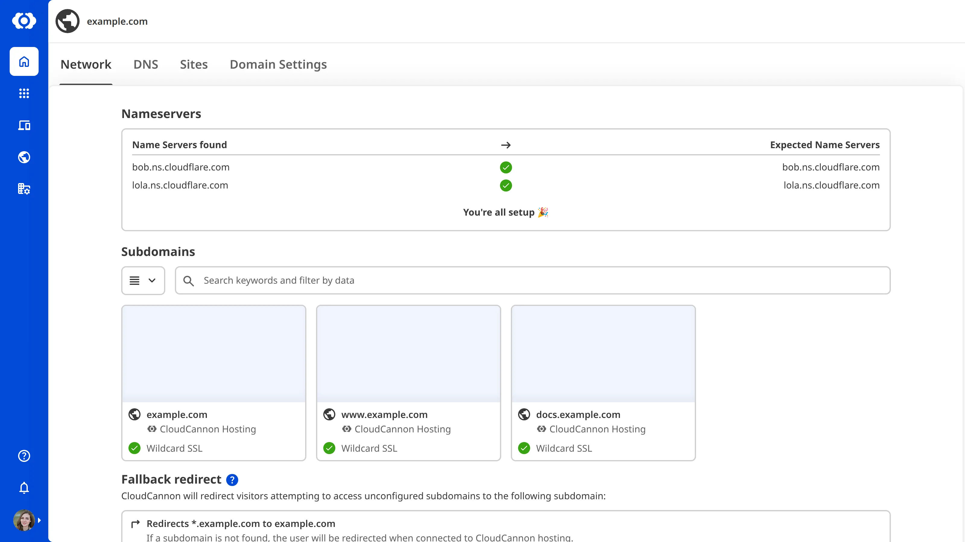 A screenshot of the Domain Network page shows that nameservers are correctly configured.